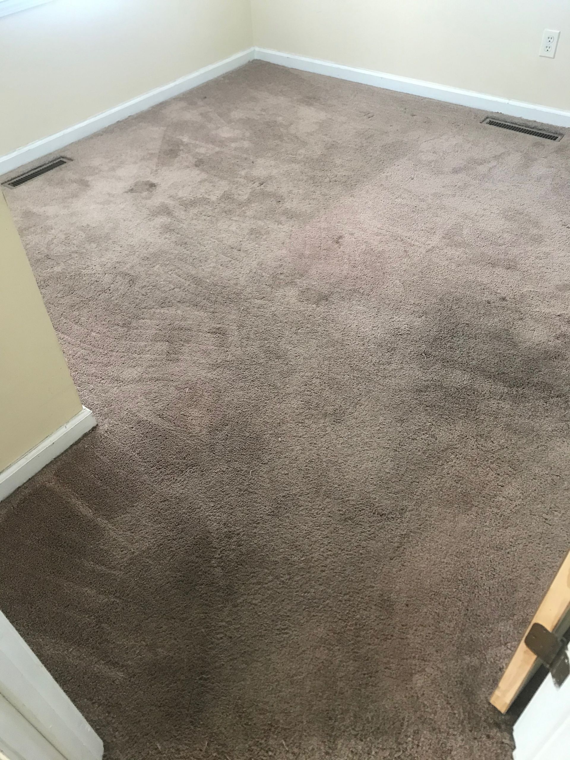 A bedroom with a brown carpeted floor and white trim.