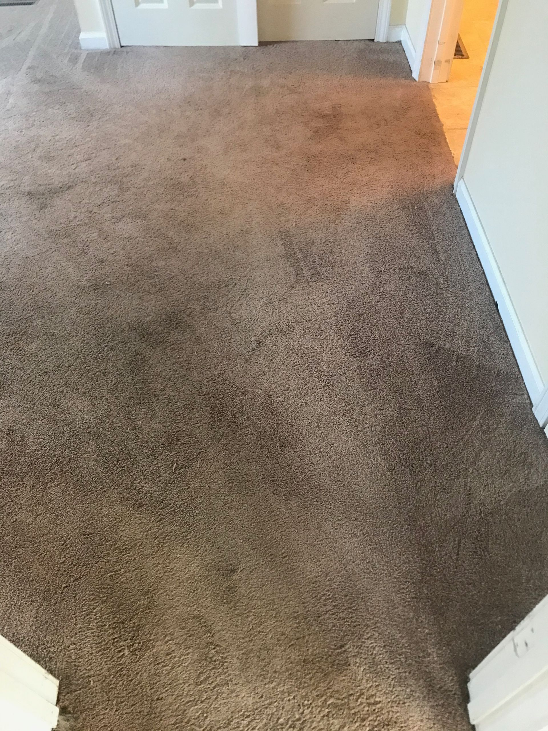 A room with a carpeted floor and a door.