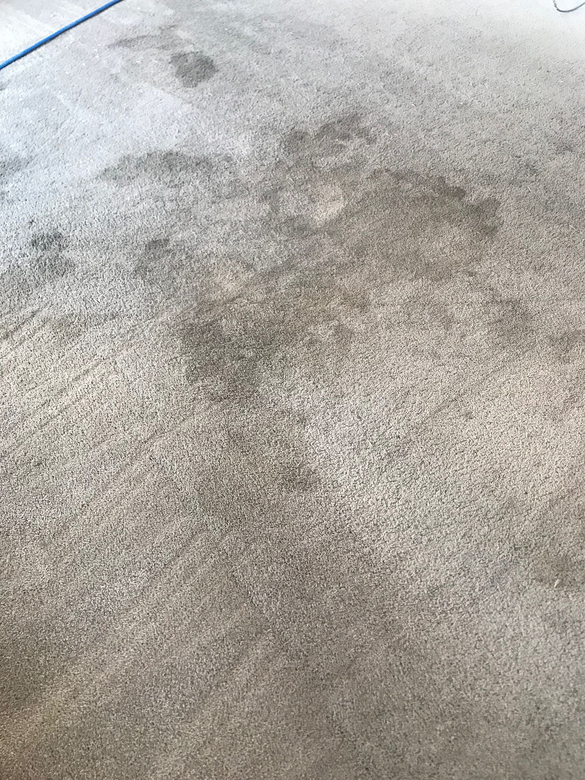 A close up of a concrete floor with a blue hose.