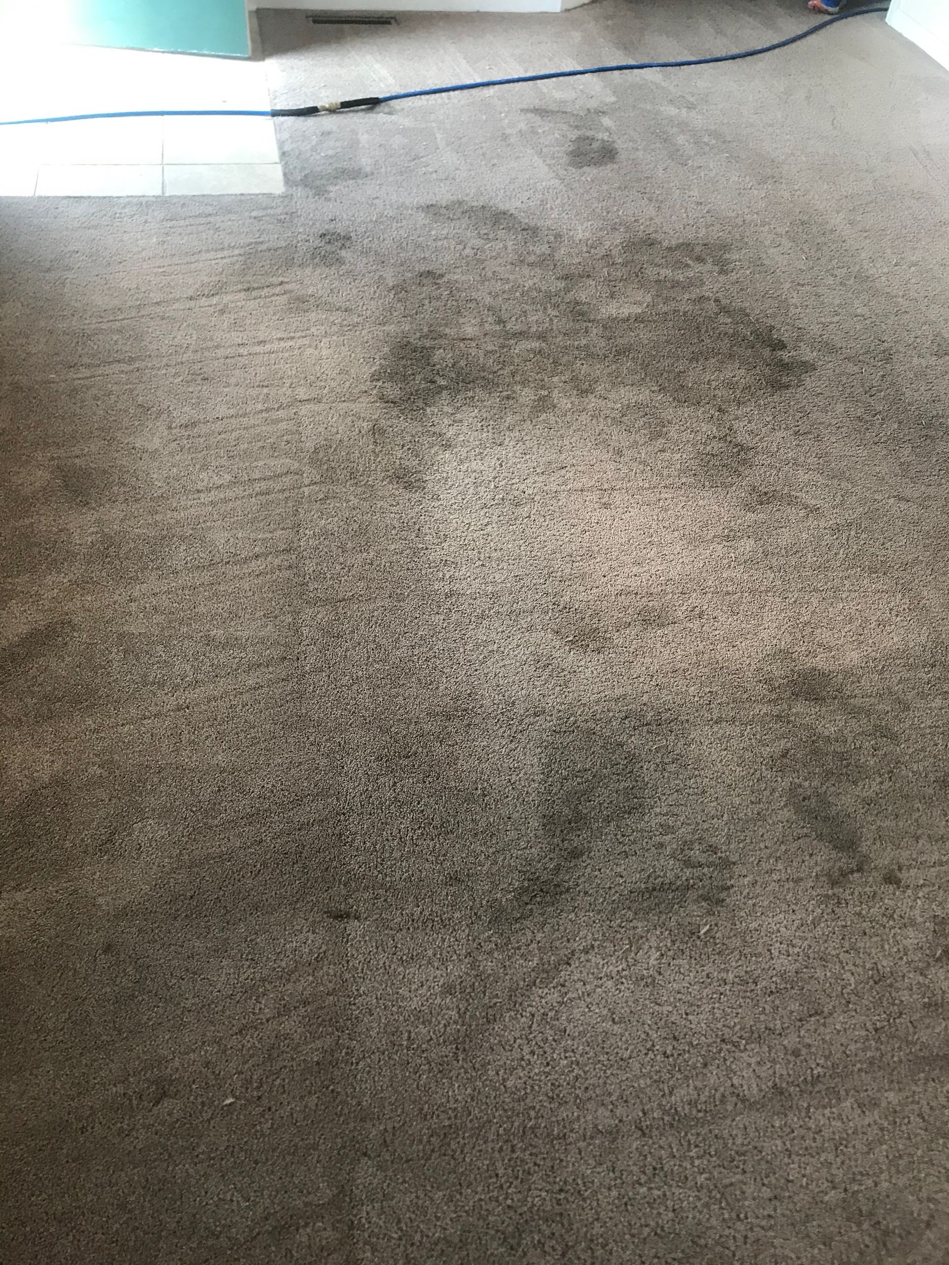 A close up of a dirty carpet in a room.