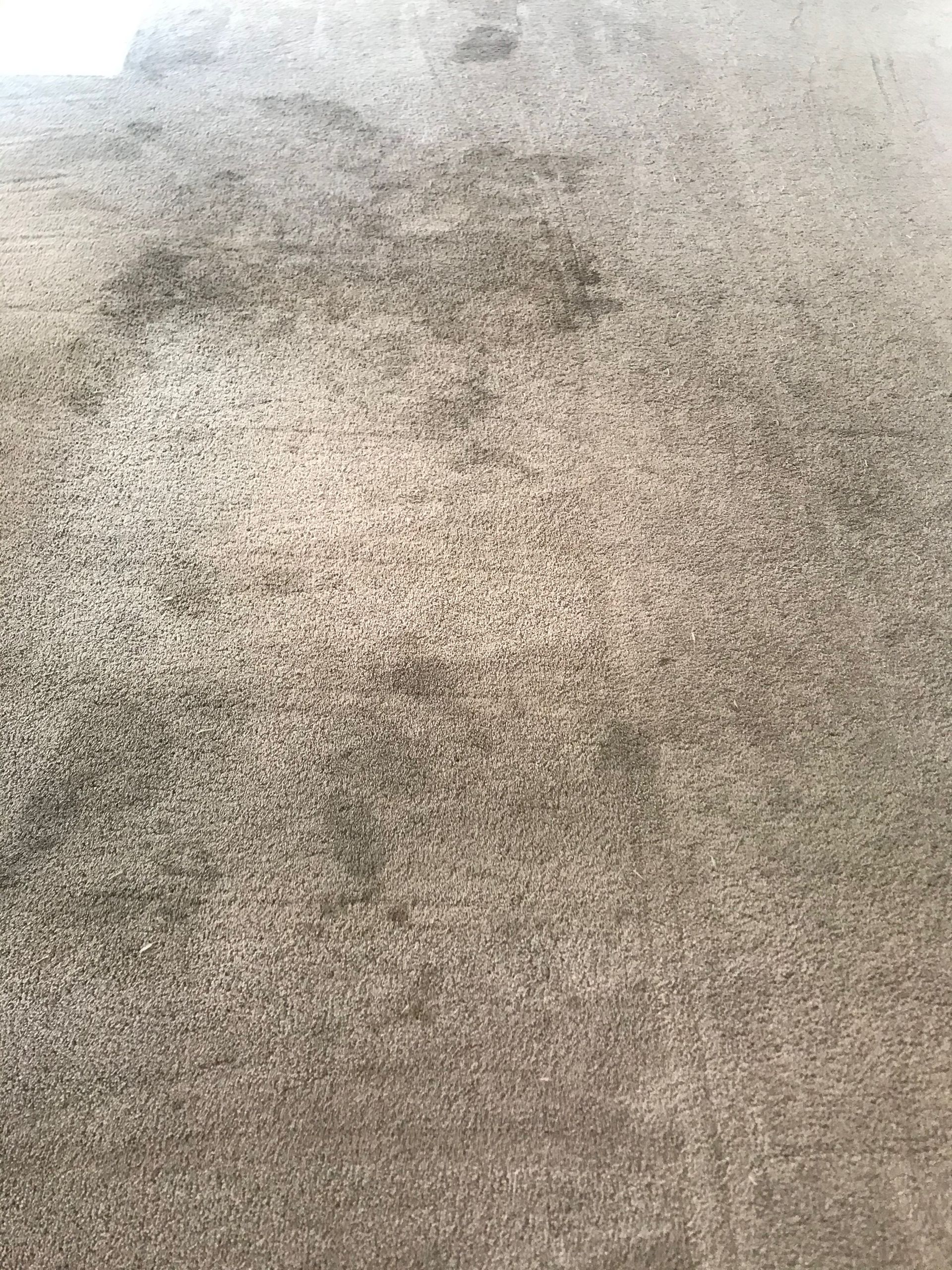 A close up of a carpet with a stain on it.