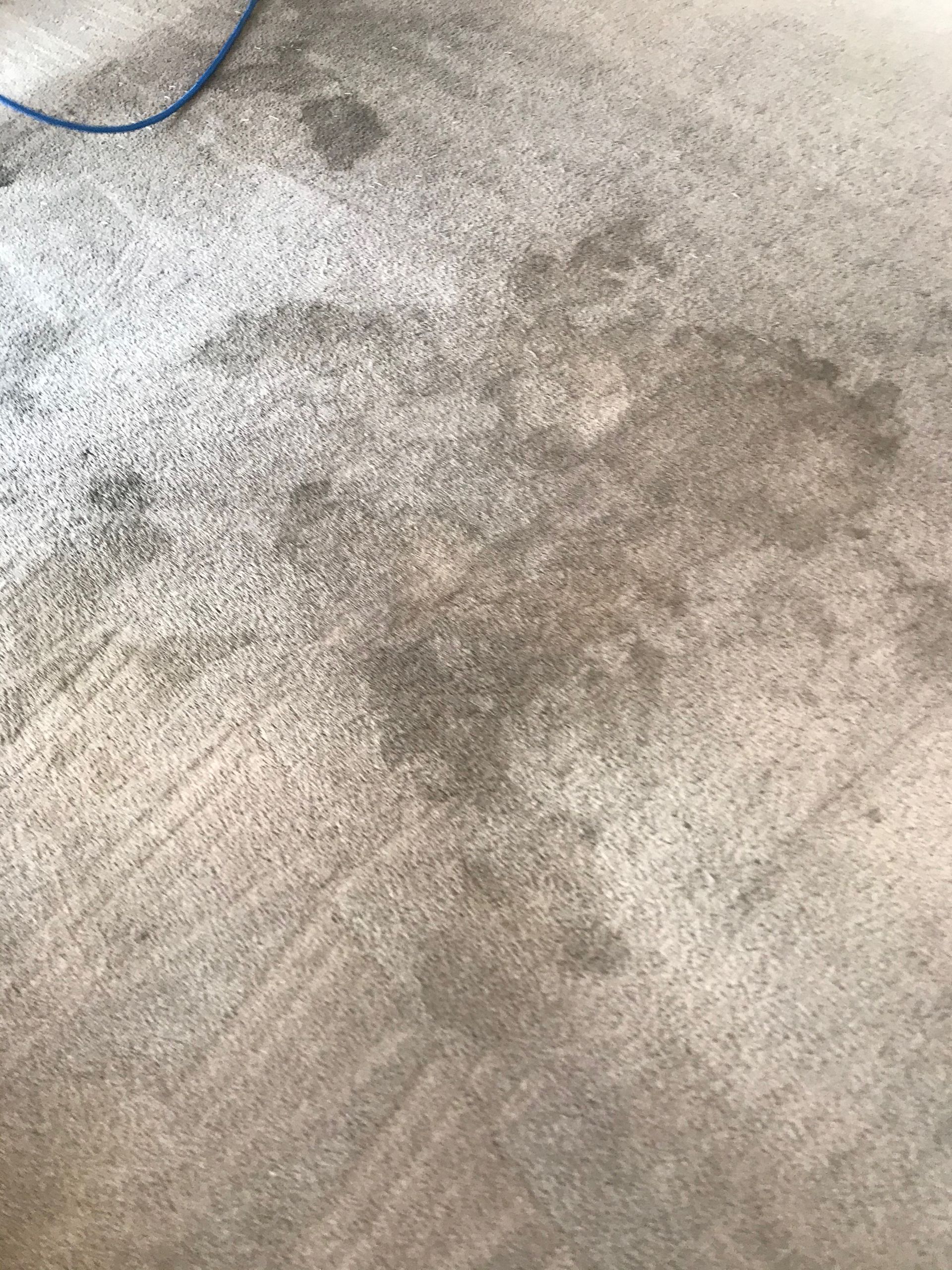 A close up of a dirty carpet with stains on it.