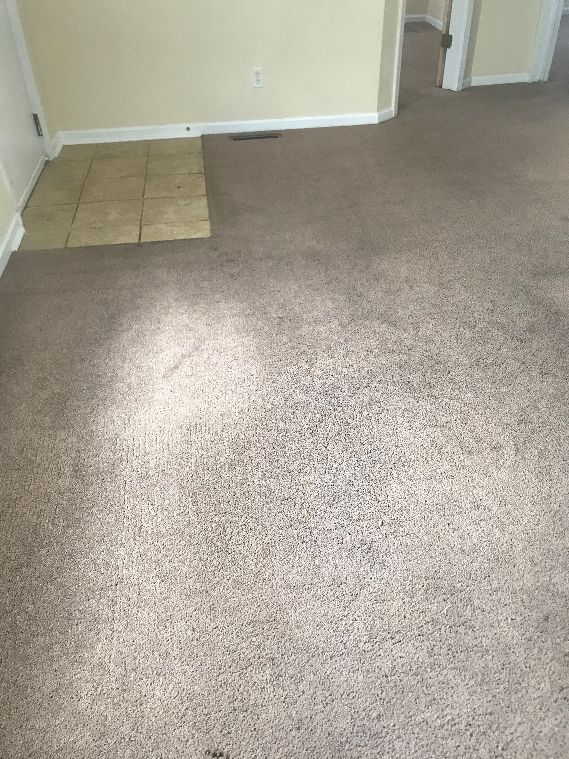 A room with a carpeted floor and a tiled floor