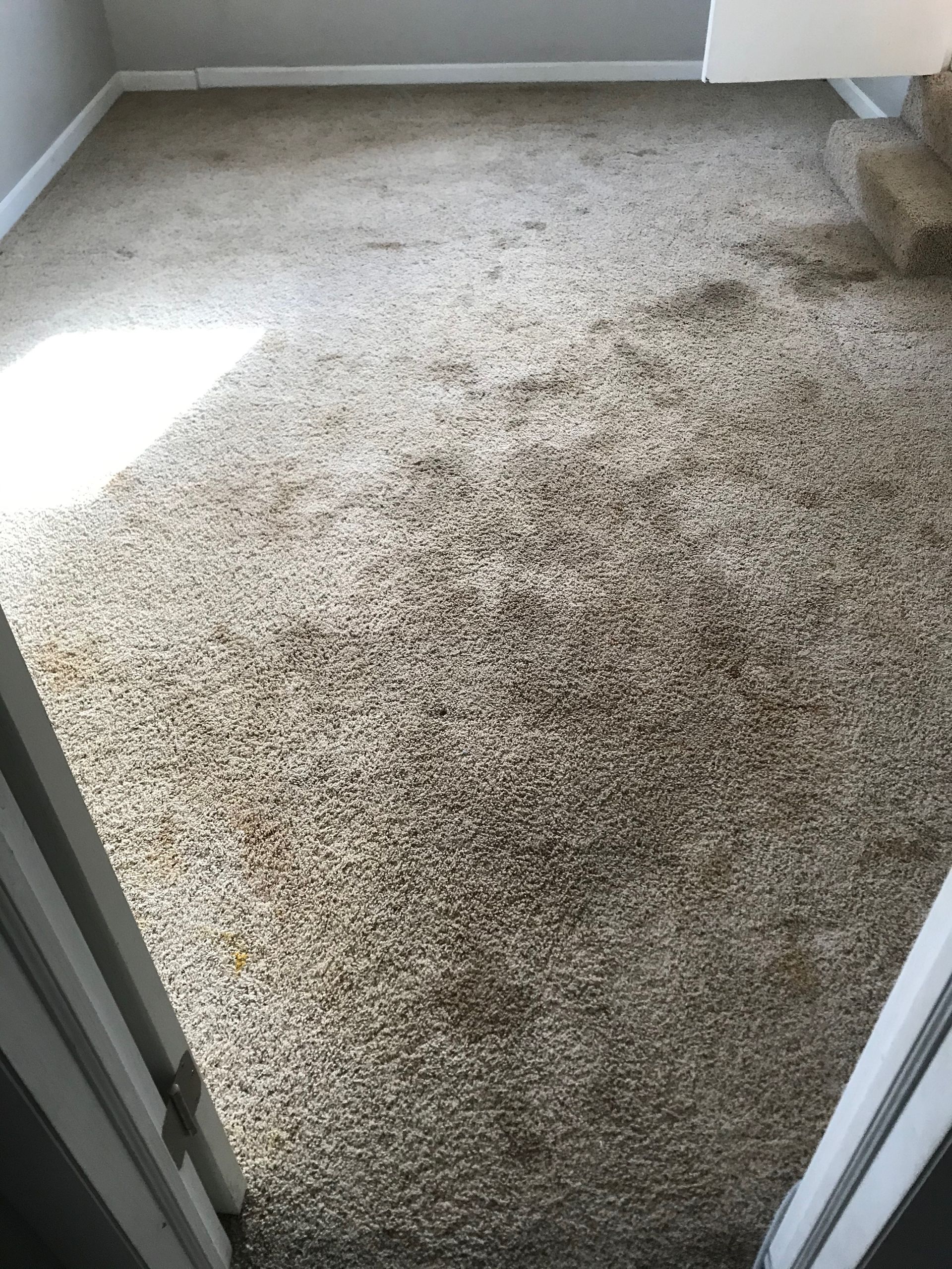 A room with a dirty carpet and stairs.