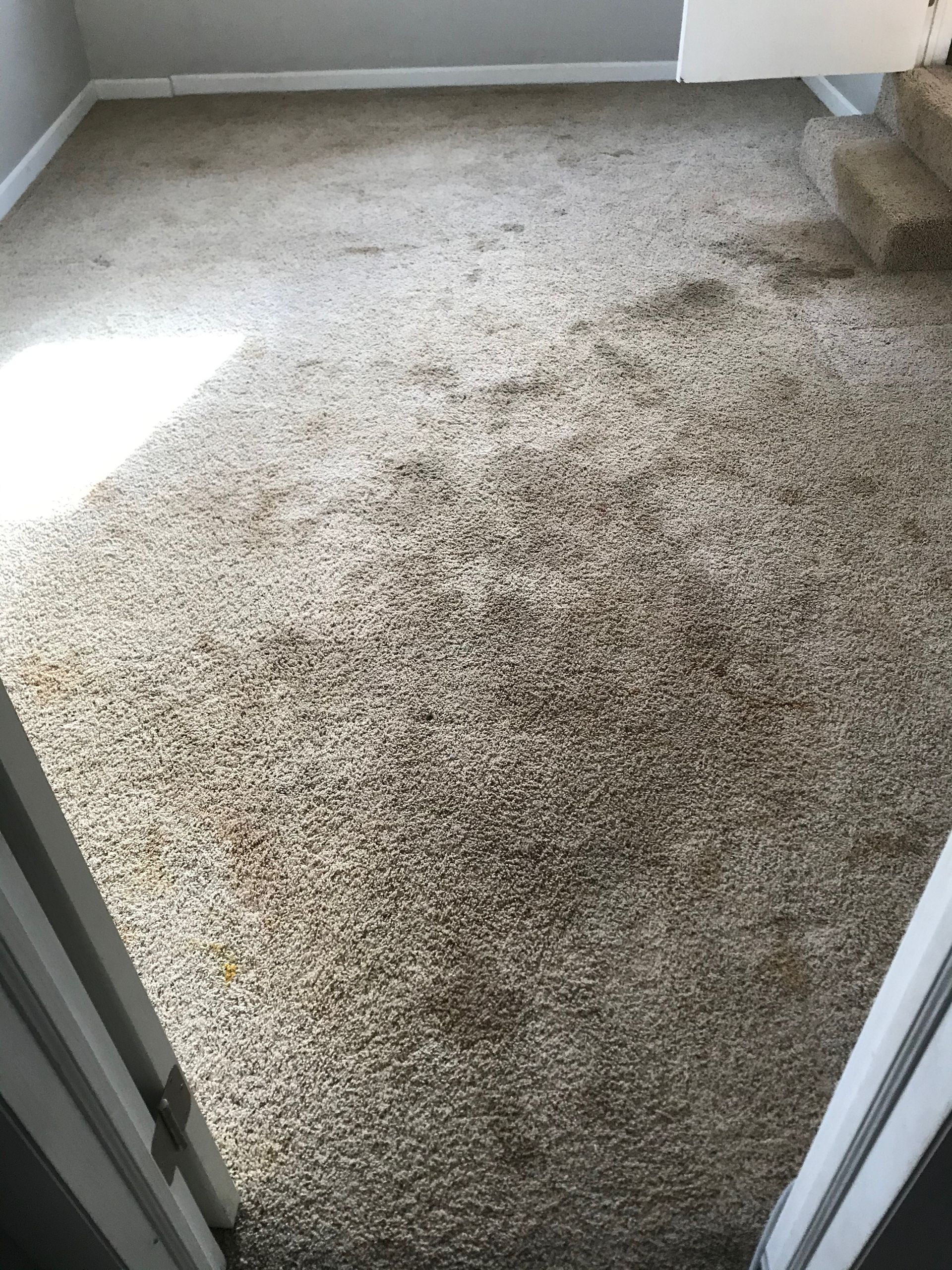 A dirty carpet in a room with a door open.
