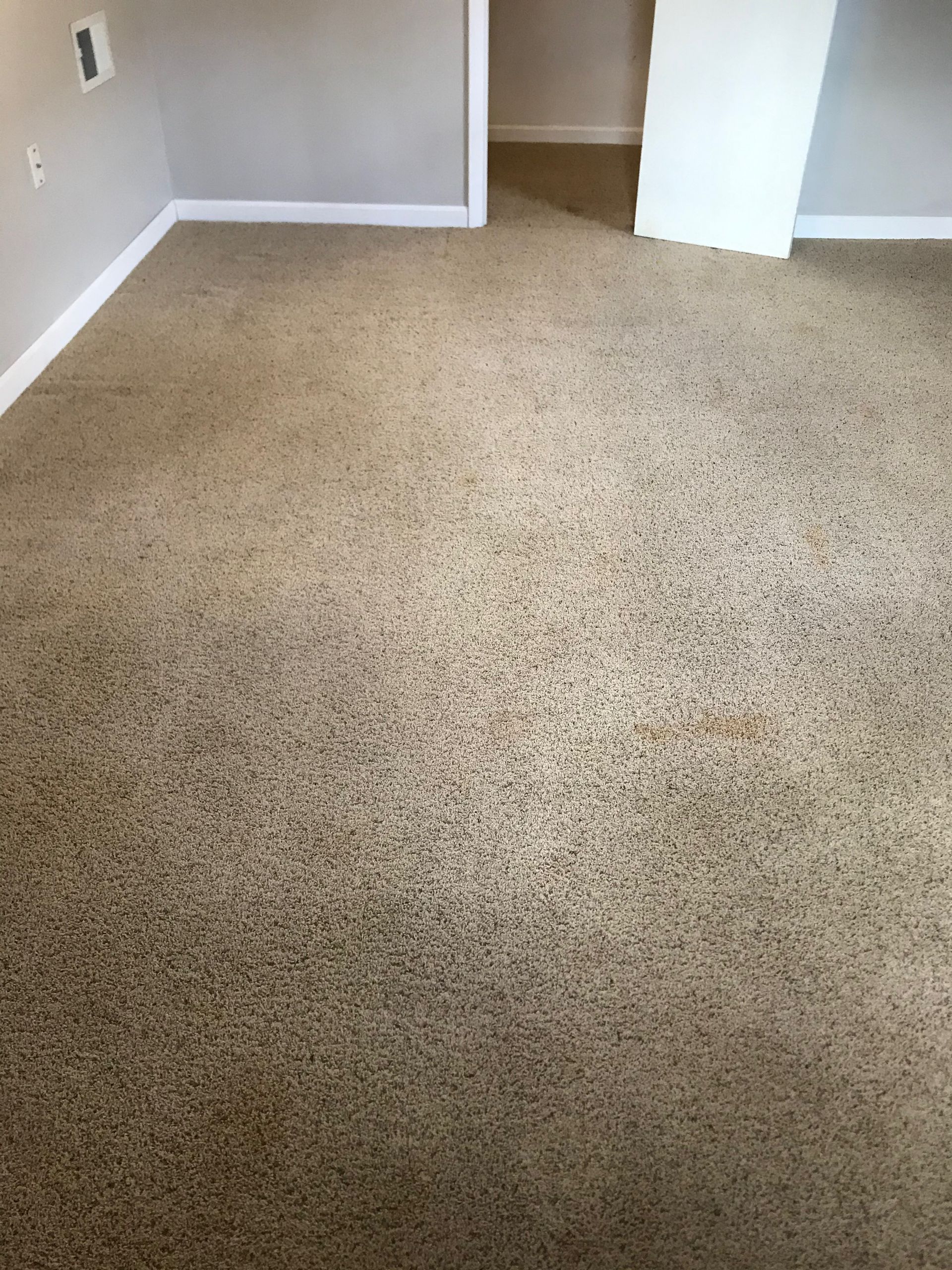 A room with a carpeted floor and a doorway leading to a closet.