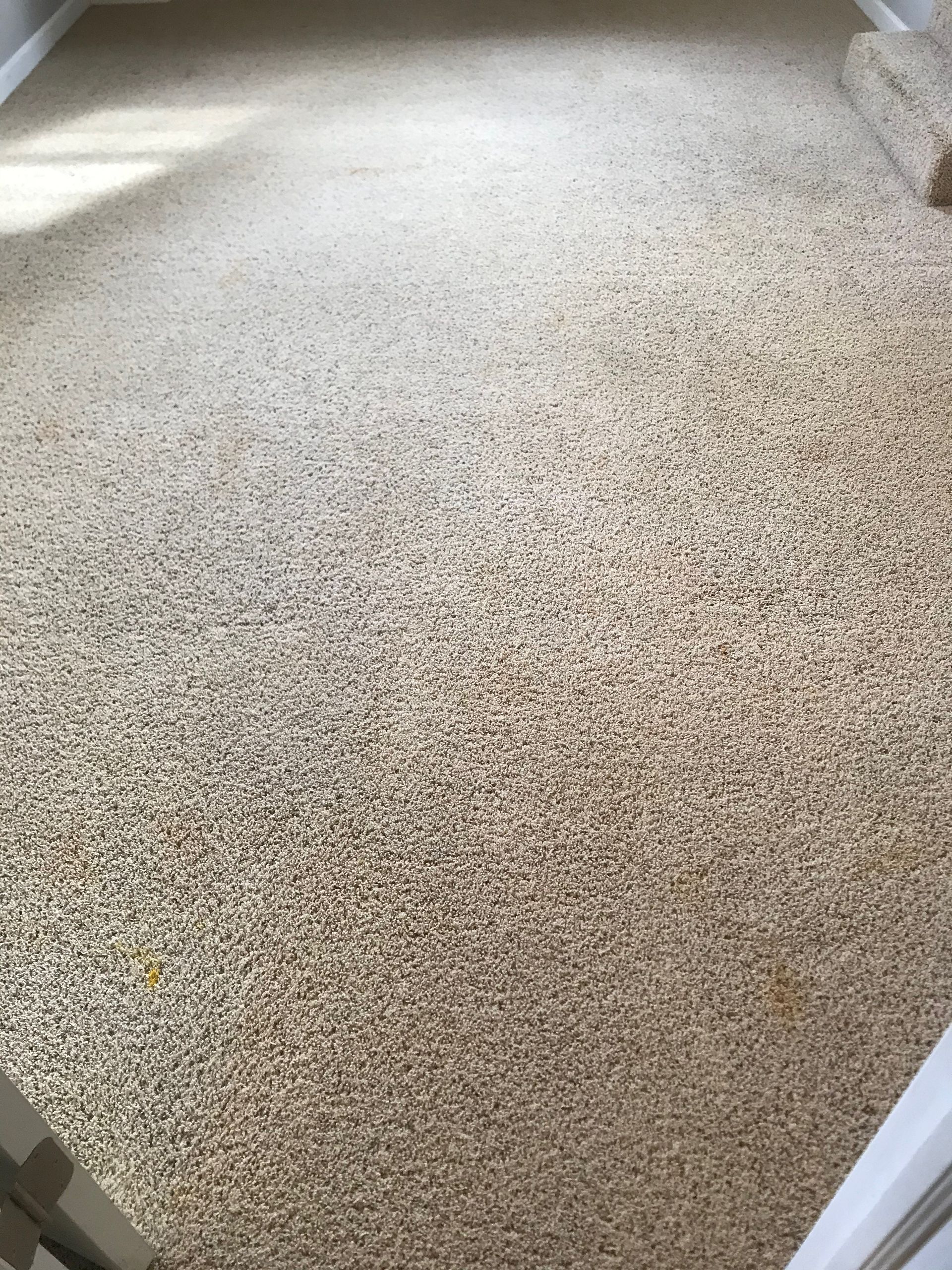 A close up of a carpeted floor in a room