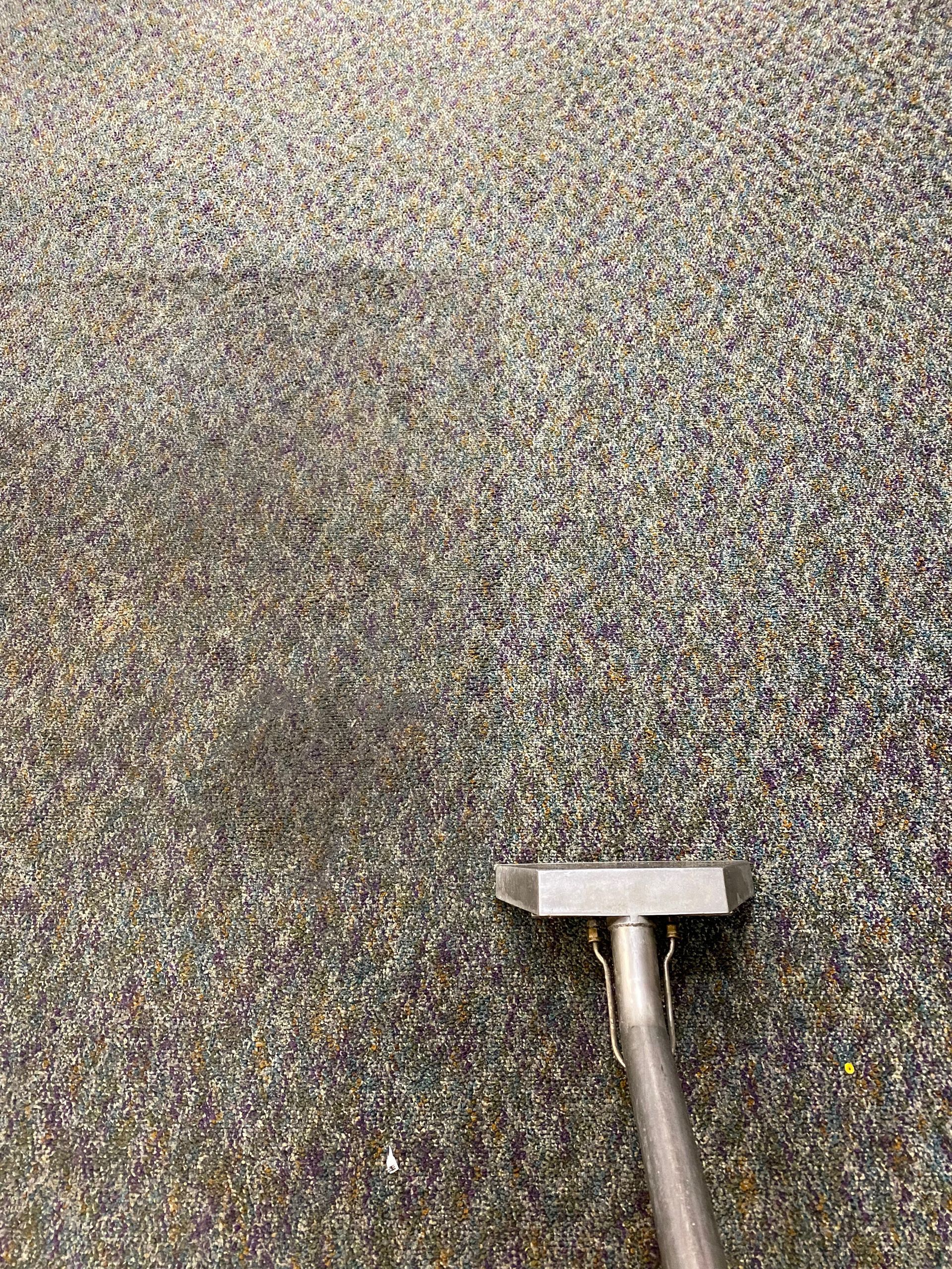 A vacuum cleaner is being used to clean a carpet.