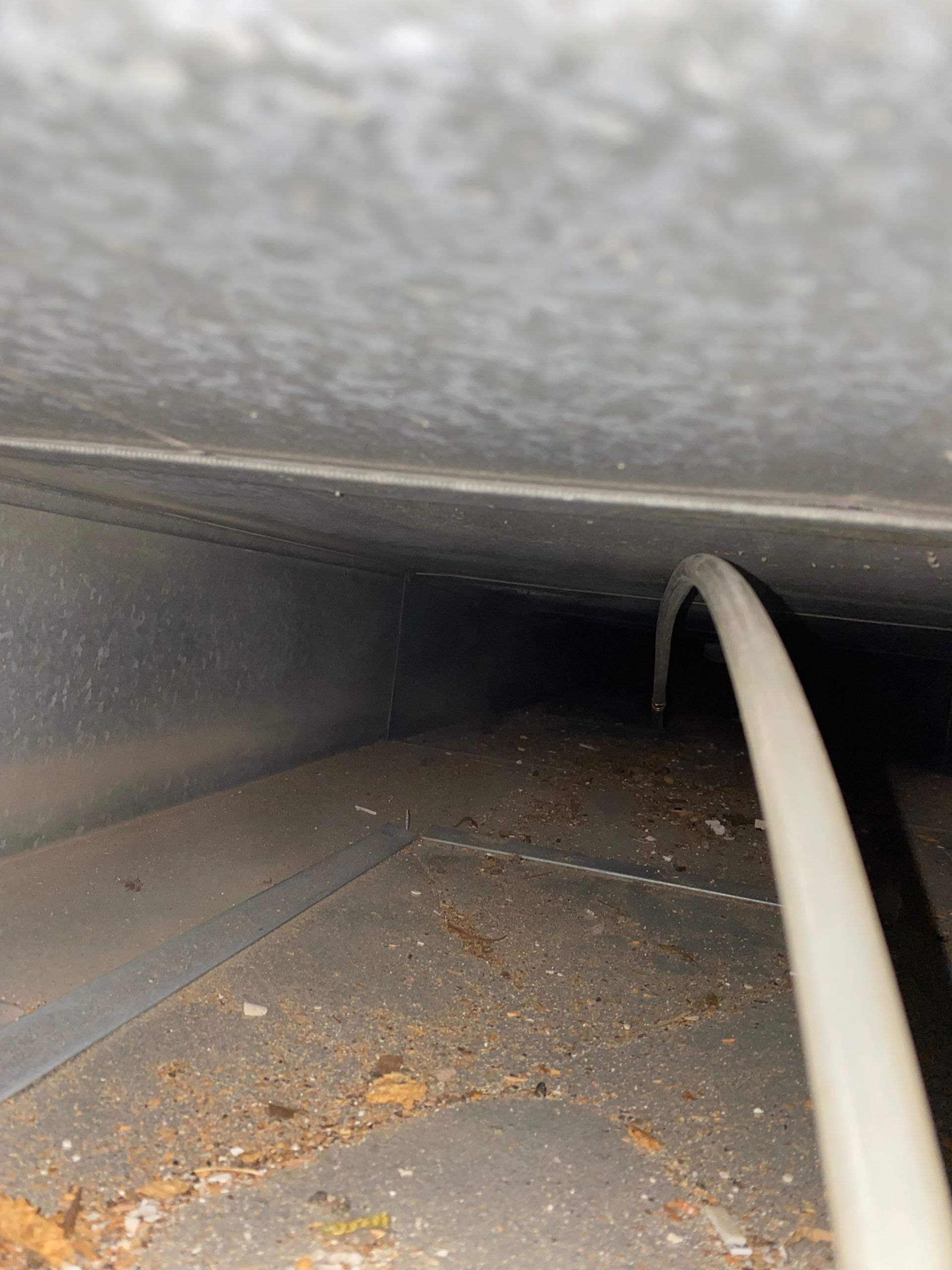 A white hose is hanging from the ceiling of a room.