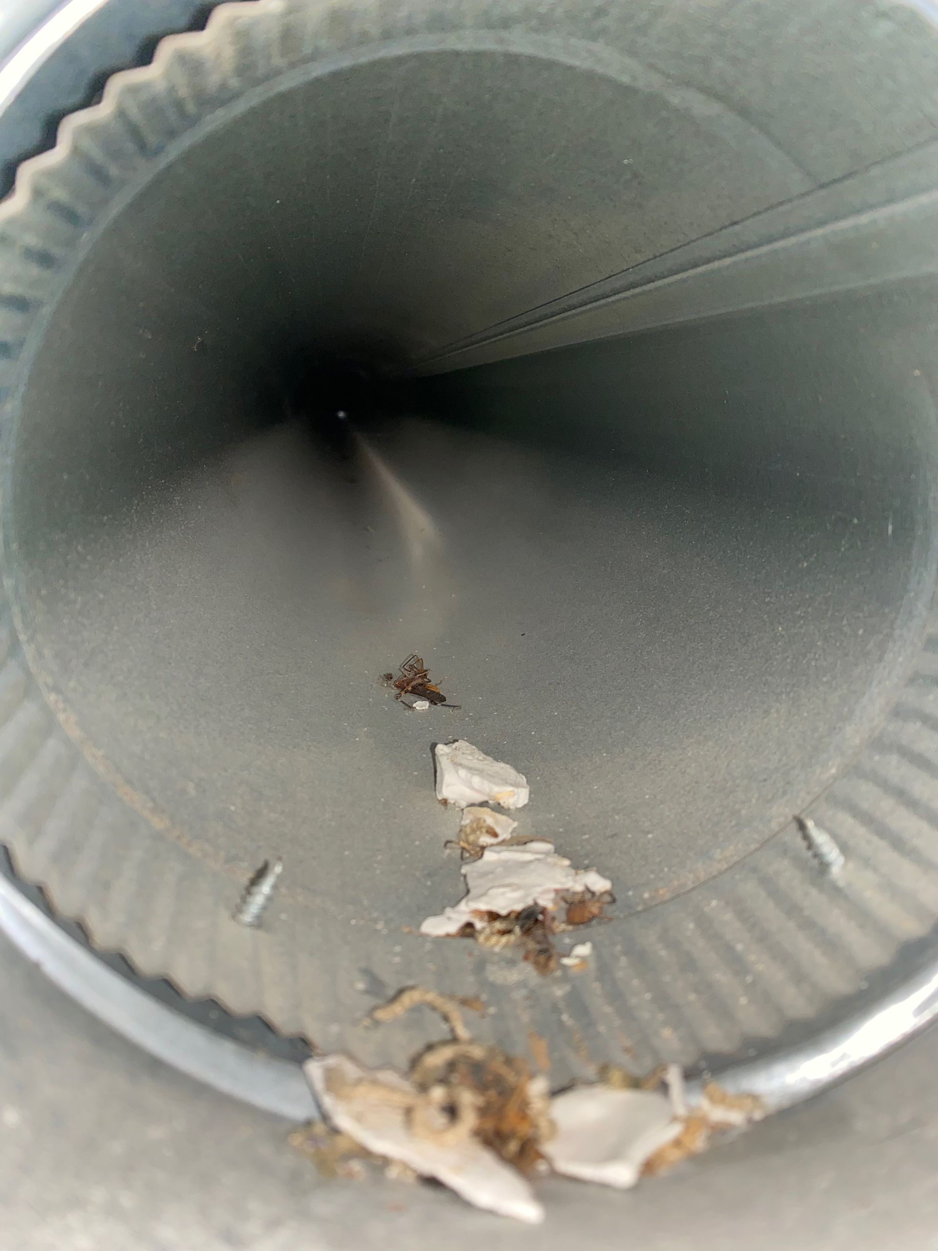 A close up of a metal pipe with a spider on it