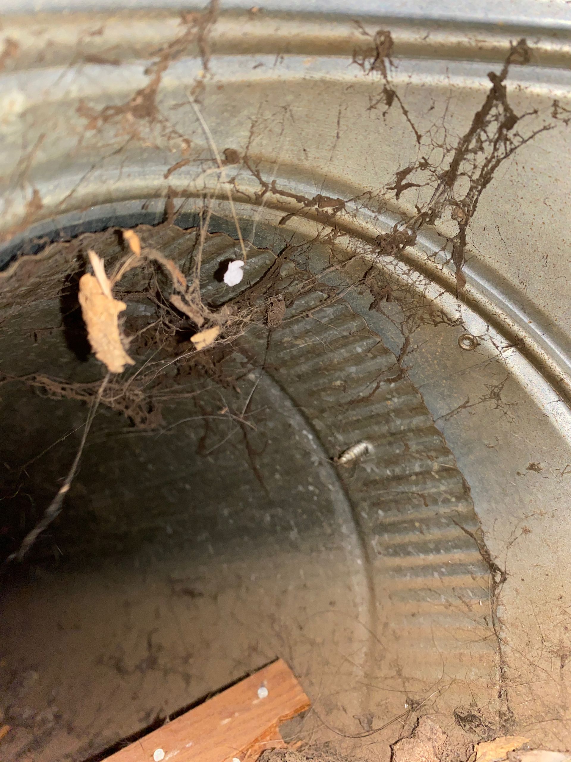 A close up of a dirty metal pipe with roots coming out of it