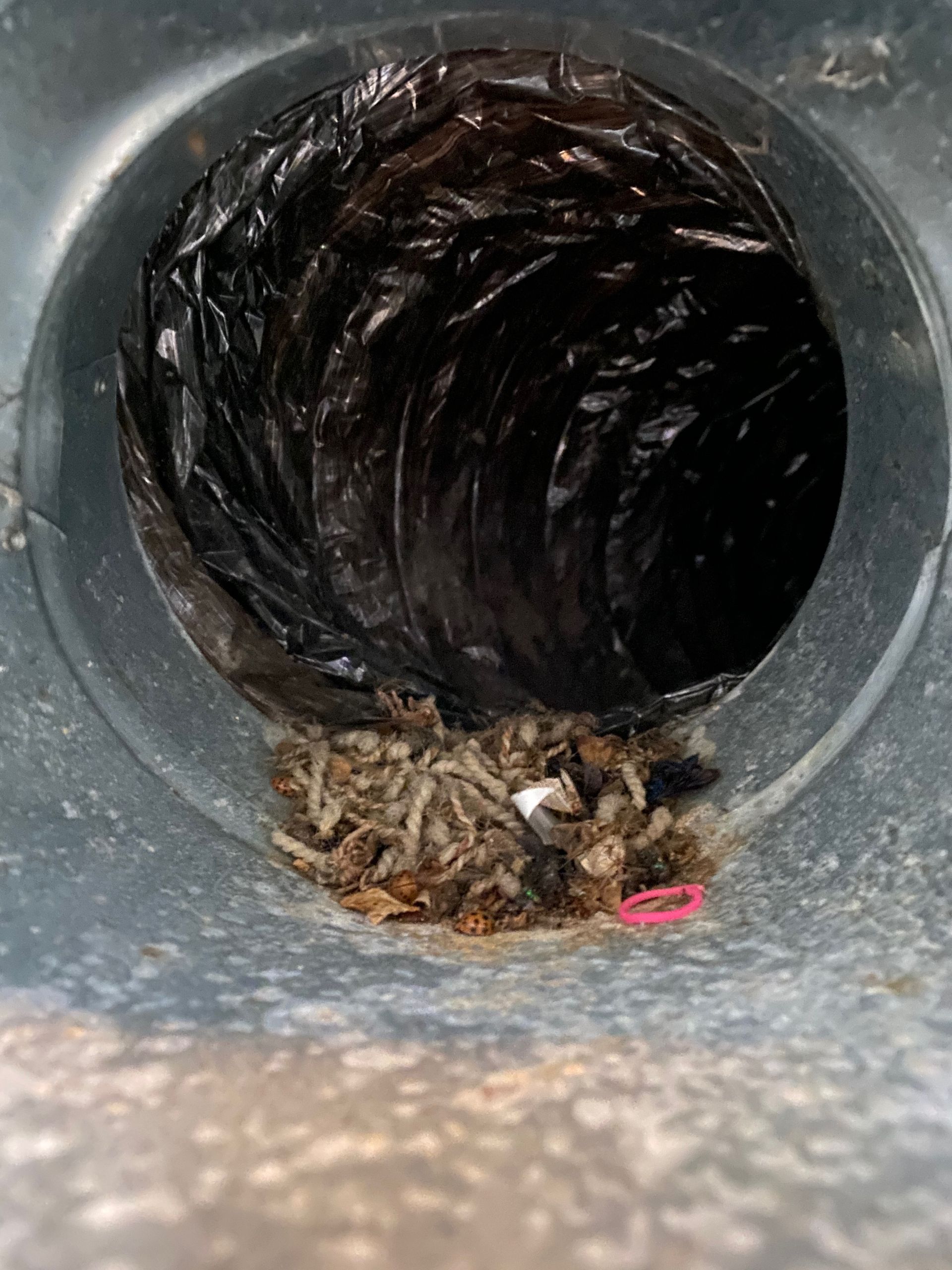 A close up of a duct with worms coming out of it.