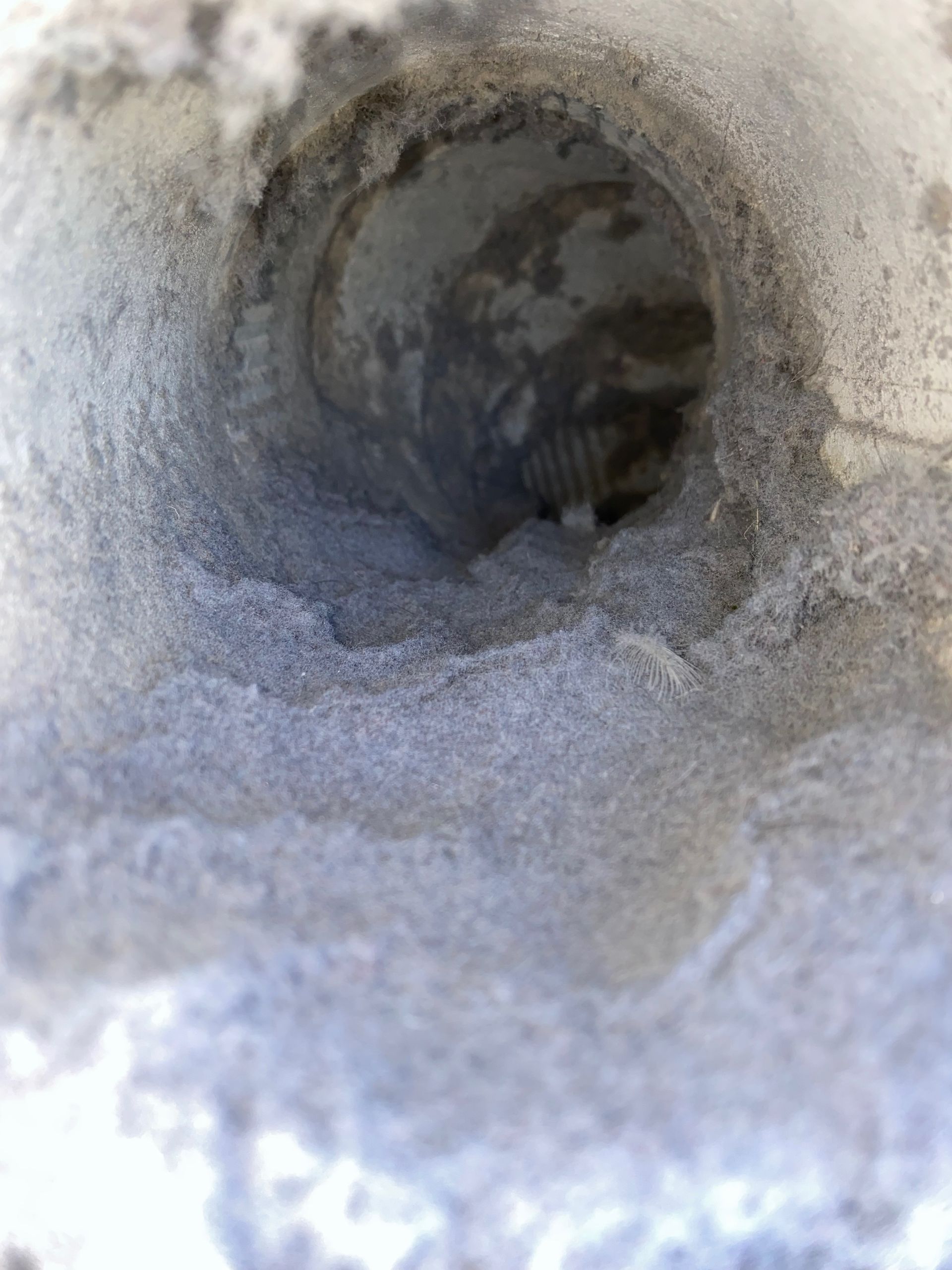 A close up of a dirty pipe with a hole in it