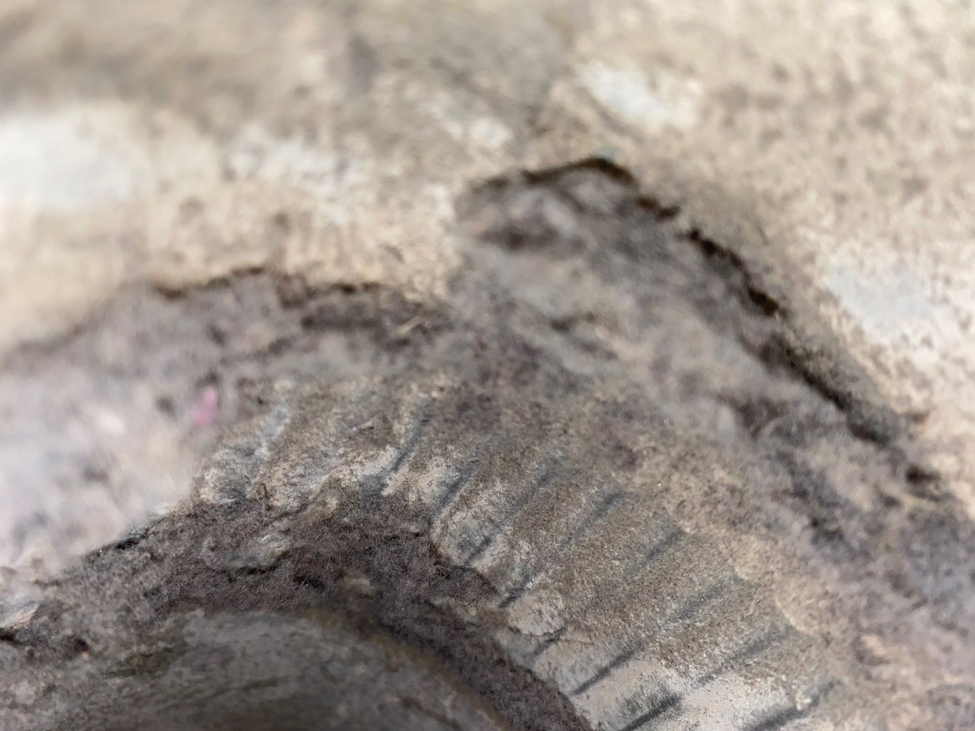A close up of a tire on a concrete surface.