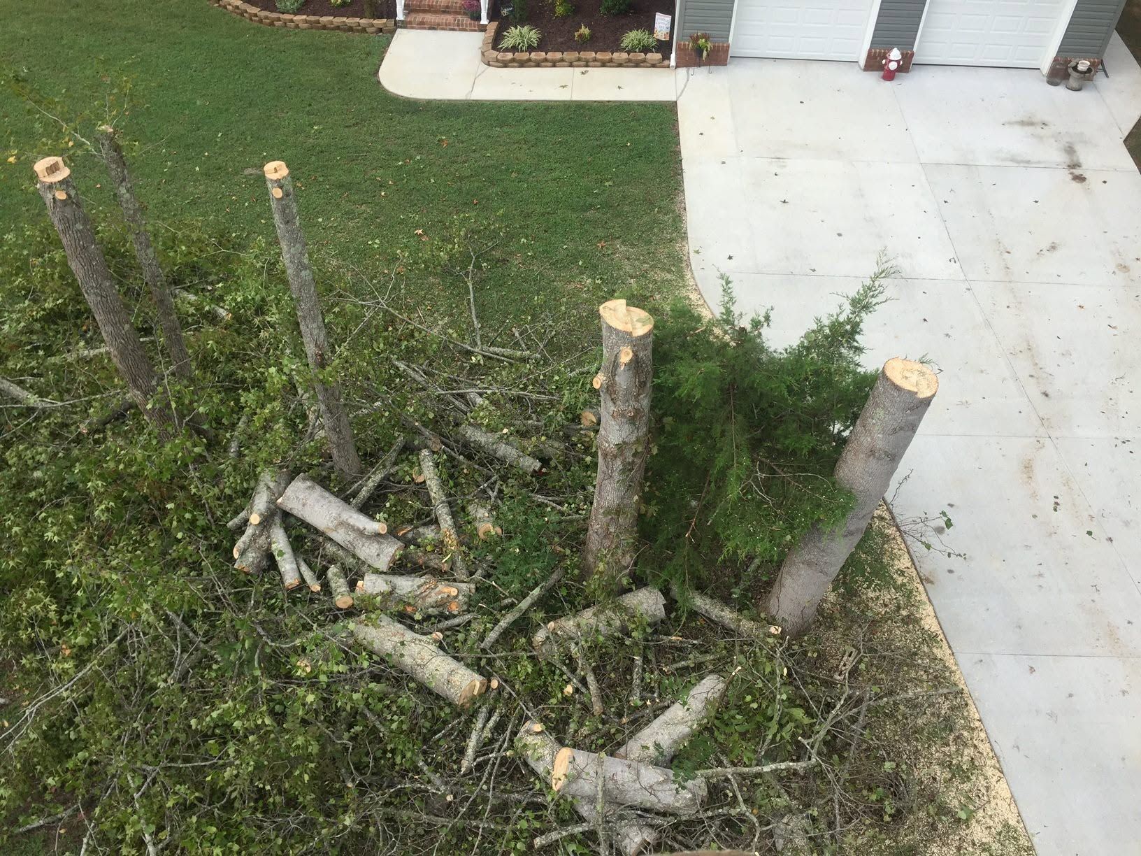 Stumps and cut logs arranged in a circle on grass beside a driveway and house