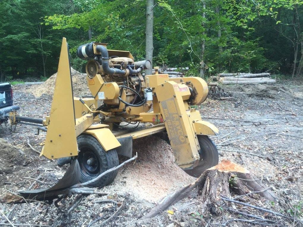 Yellow bulldozer pushing over a tree stump in a wooded clearing