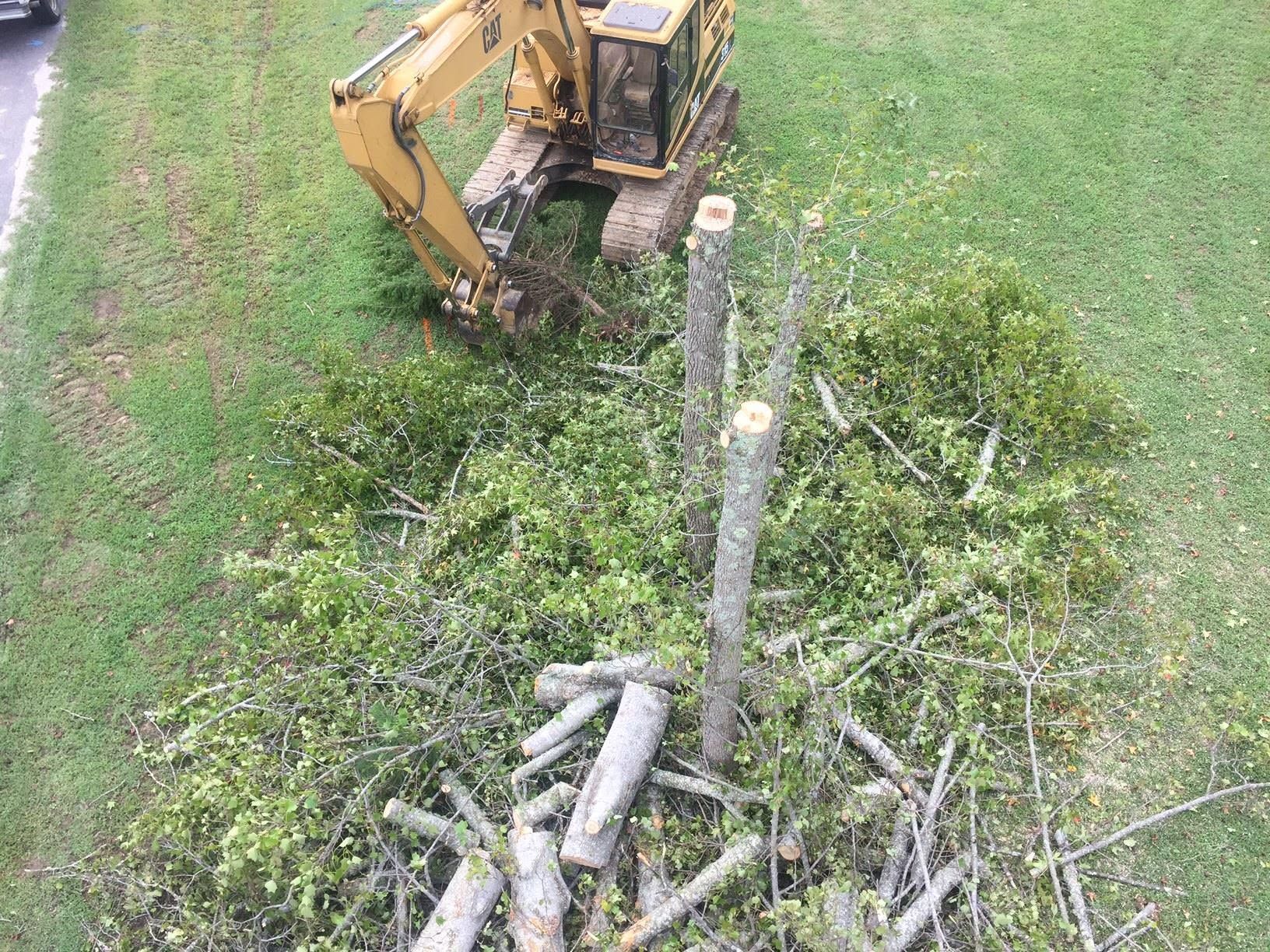 Excavator clearing cut branches and logs in a grassy area