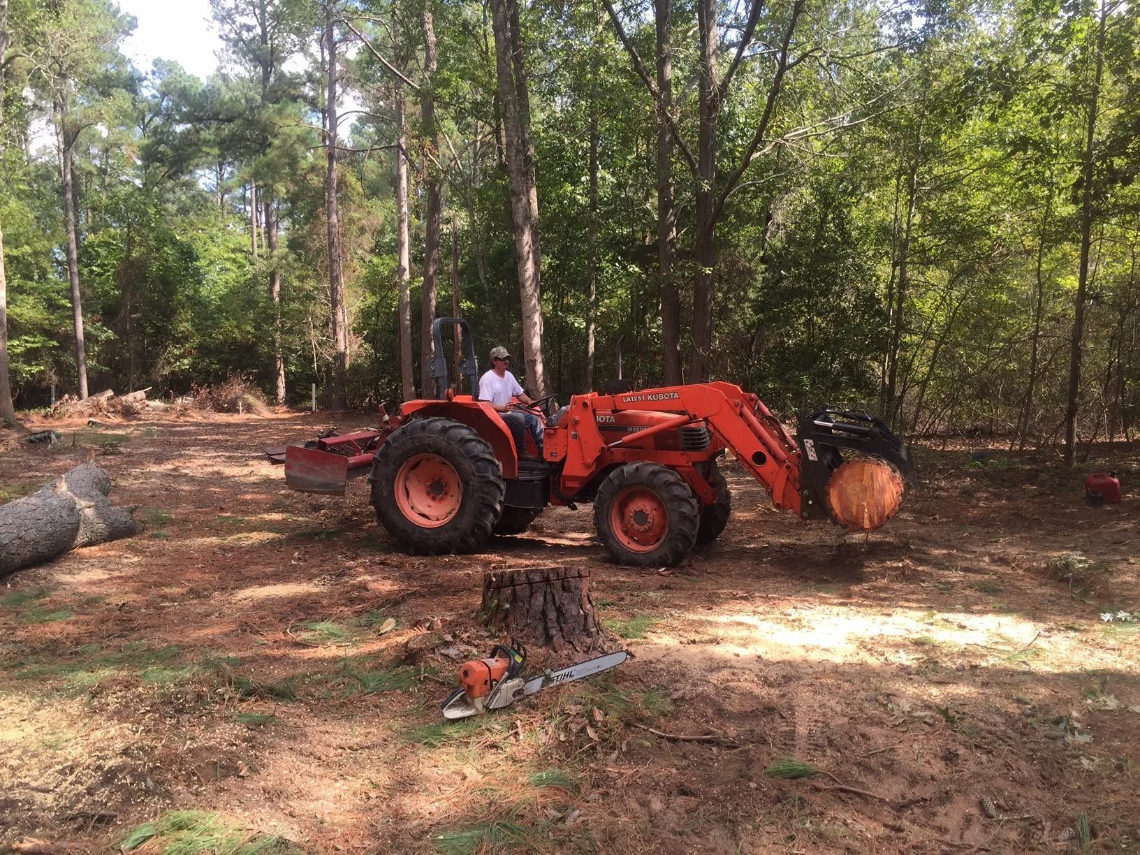 Orange tractor in a wooded clearing, lifting a large log near cut timber and a chainsaw.
