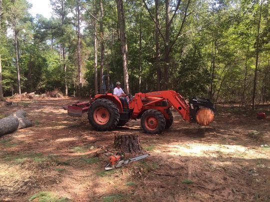 Orange tractor in a wooded clearing, lifting a large log near cut timber and a chainsaw.