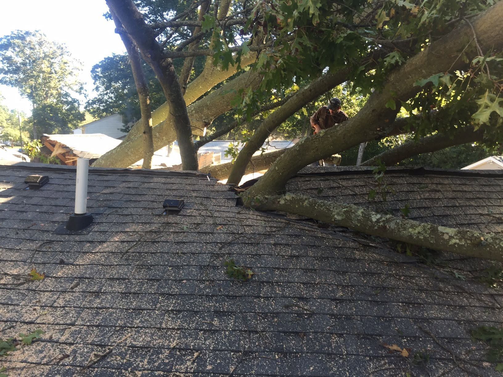 Roof with a white vent pipe beneath tree branches and sunlight, viewed from above