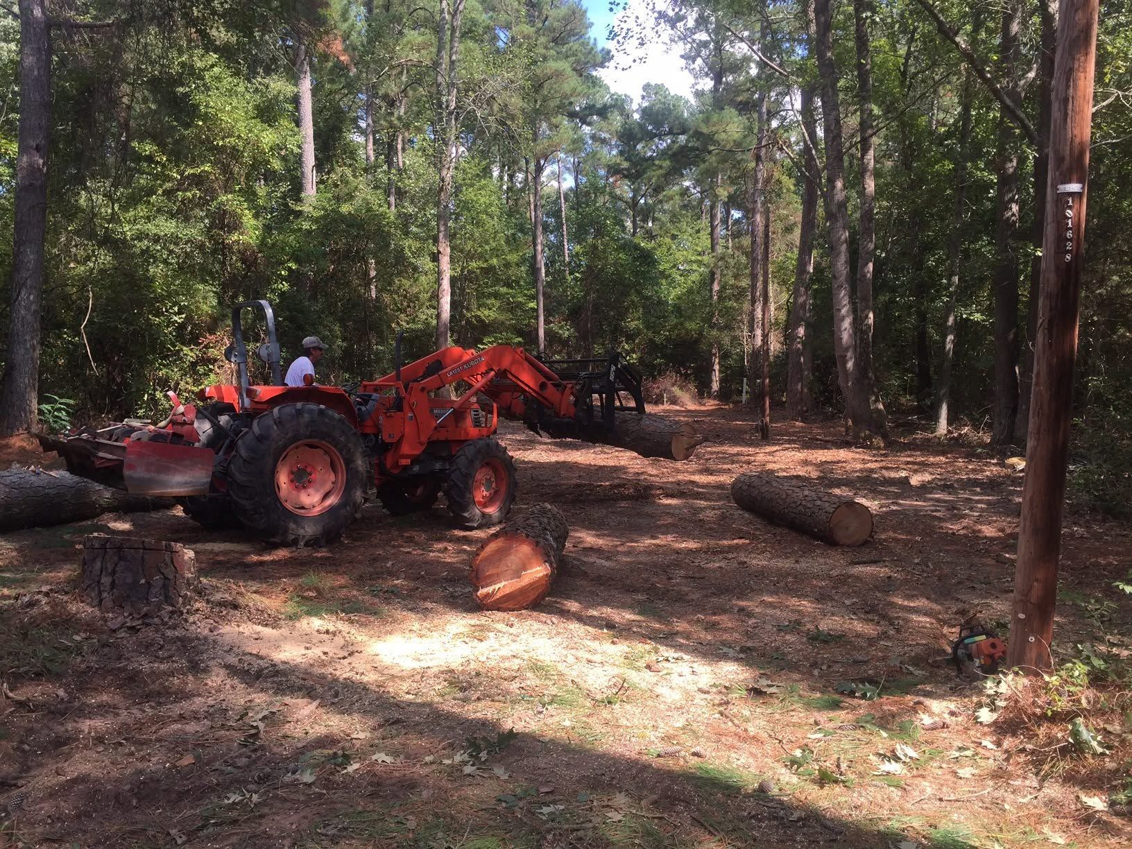 Orange tractor in a wooded clearing, pushing a large log amid scattered cut trees.