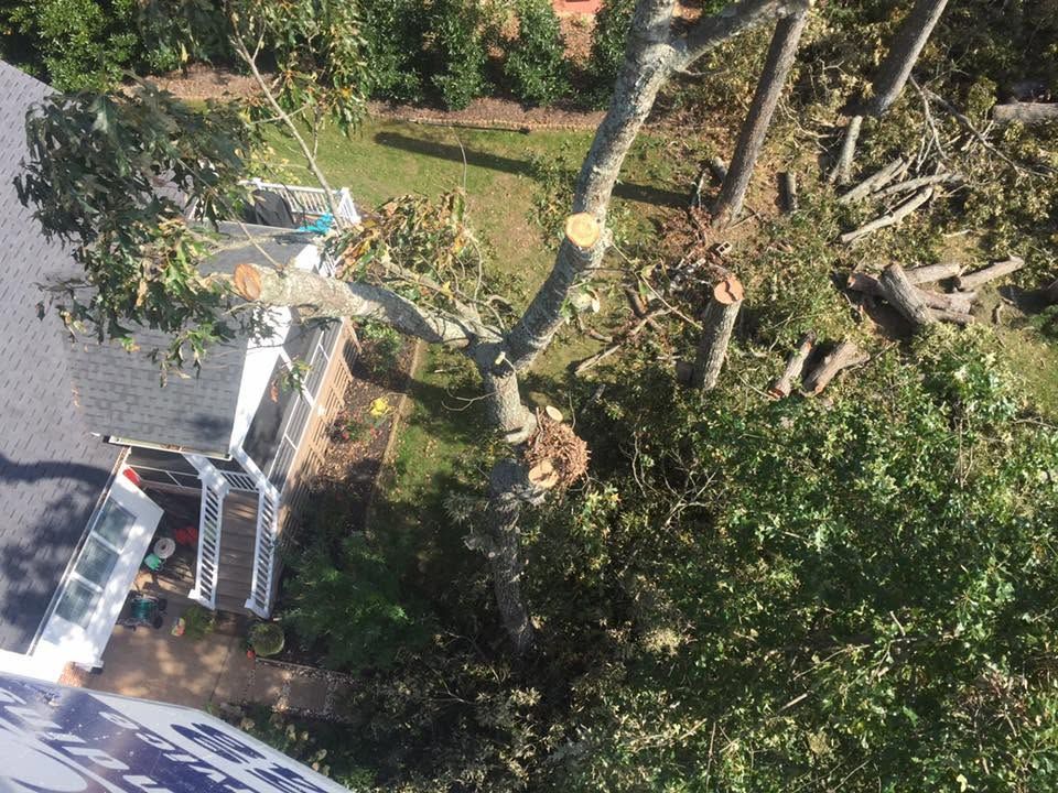 Aerial view of a house, driveway, and trees, with a white truck parked near the road.