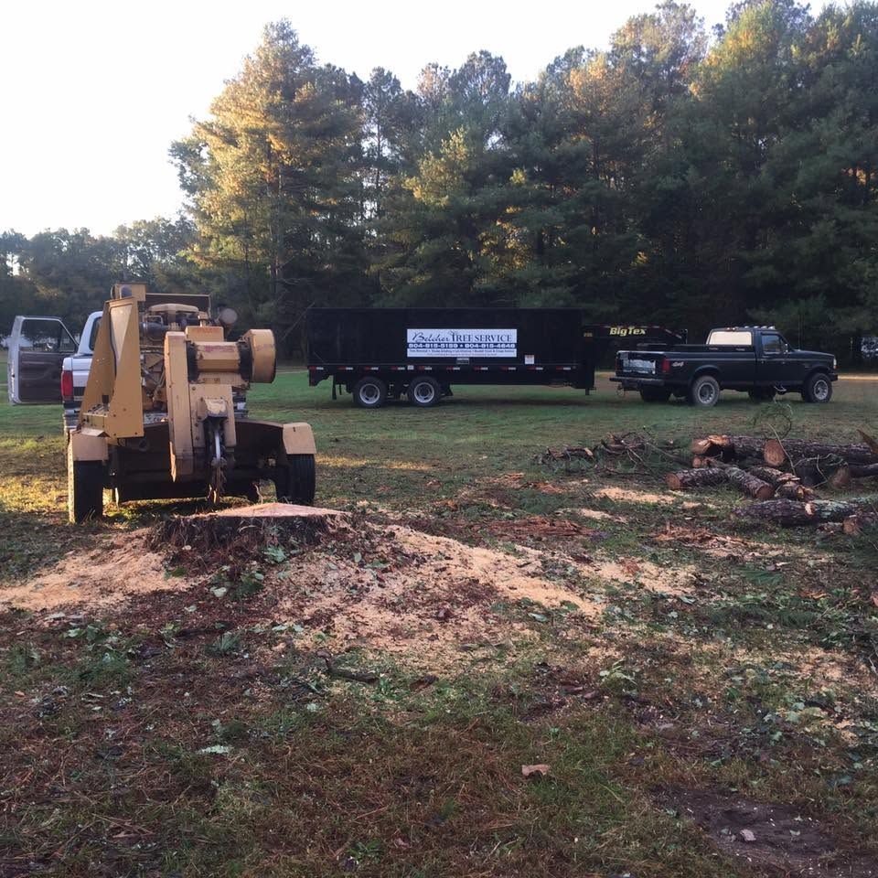 Excavator and wood chip pile in a yard, with a pickup truck and trailer near trees at dusk