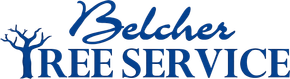 Belcher Tree Service logo with blue text and a bare tree silhouette above “TREE SERVICE”