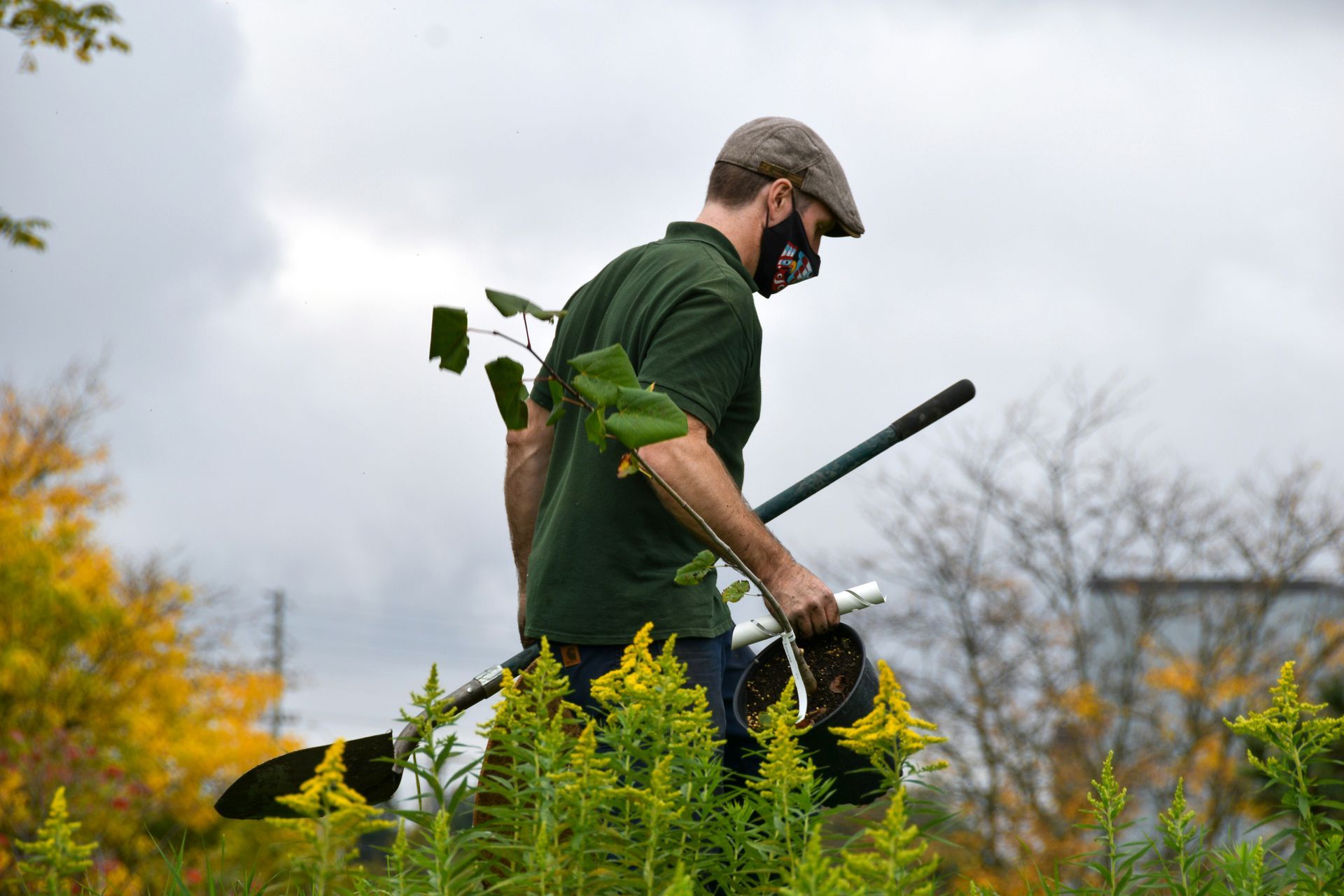 Person in green shirt using a string trimmer in a field of yellow wildflowers under a cloudy sky