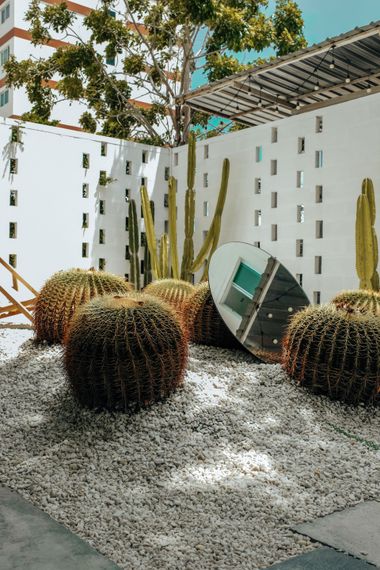 Desert garden with cacti and barrel succulents against a white wall and gravel ground