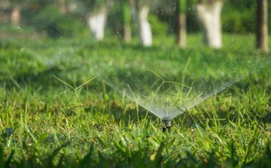 Sprinkler spraying water over a green lawn in sunlight