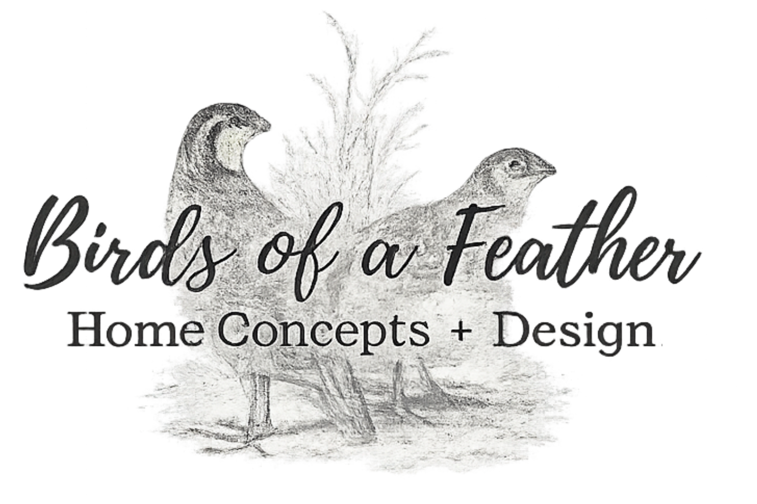 Birds of a Feather Home Concepts + Design logo with sketched birds and tree branches