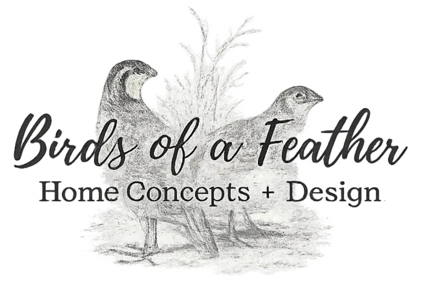 Birds of a Feather Home Concepts + Design logo with sketched birds and tree branches