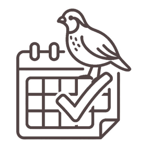 Line-art bird perched on a calendar with a checkmark, suggesting a scheduled task or reminder