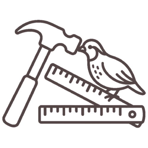 Bird perched on a hammer and two rulers, with a line-art style illustration.