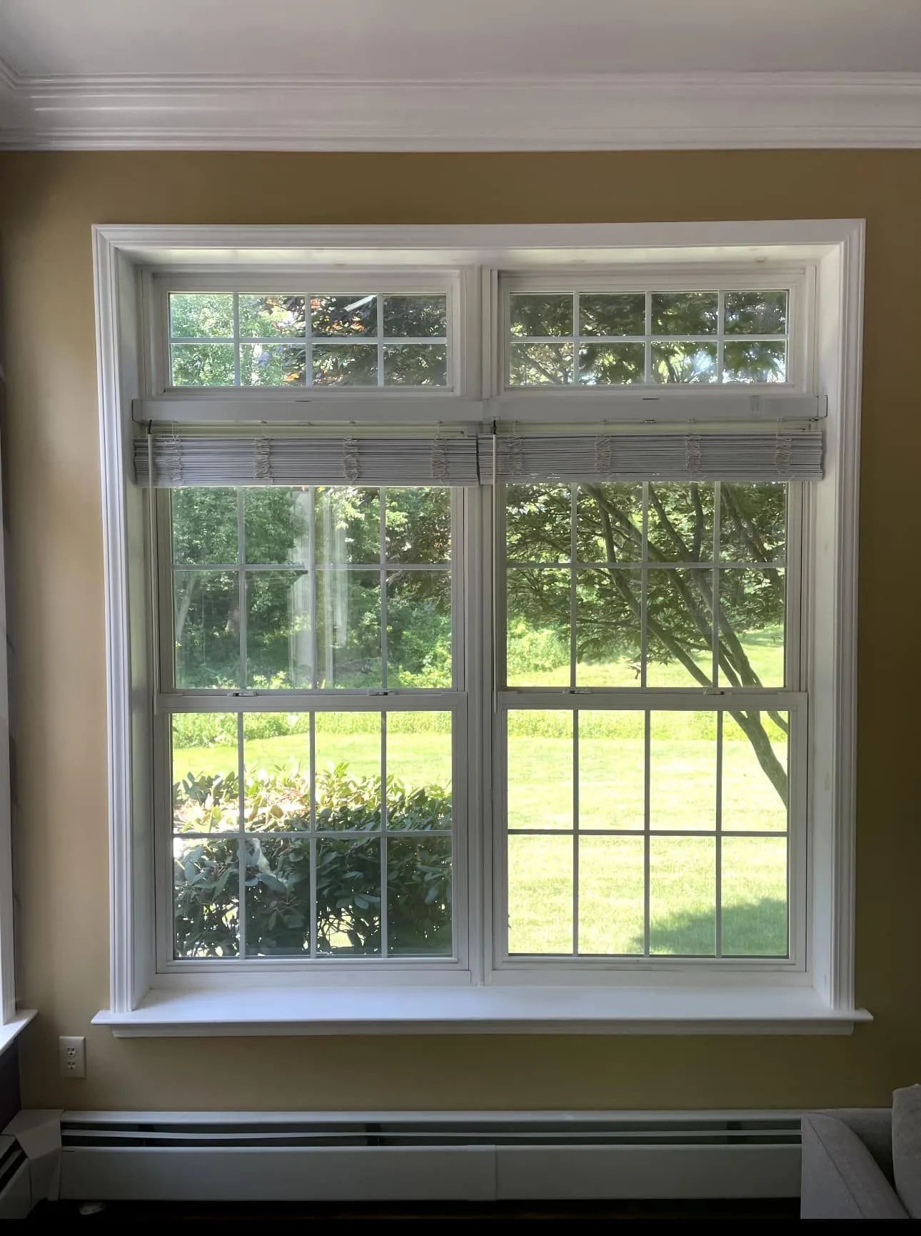 White-framed window with upper transom panes overlooking a green yard and trees