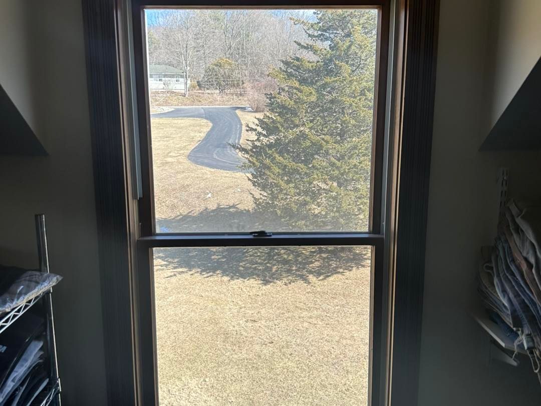 View through a window of a driveway and tree on a sunny day.