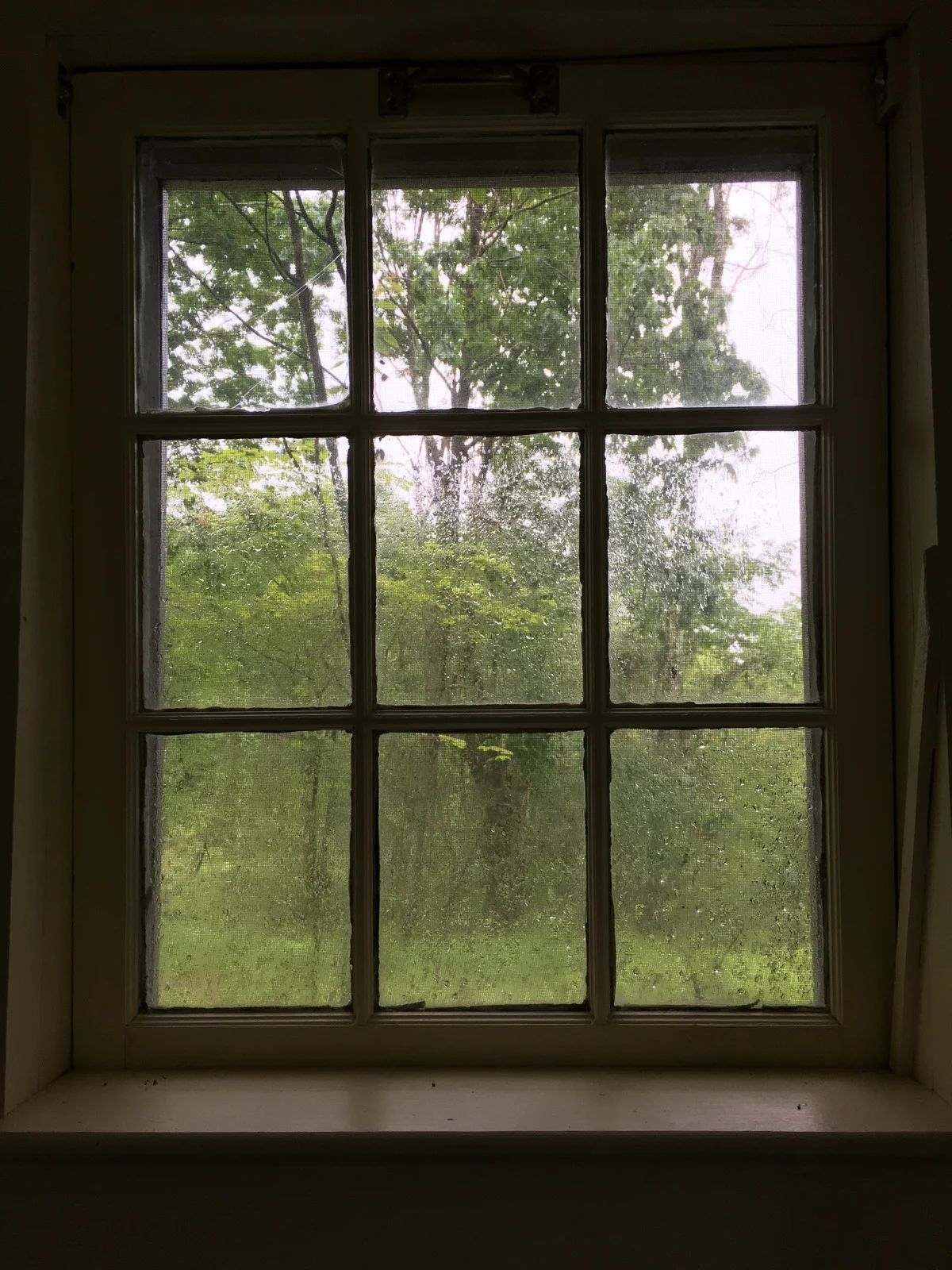 Rainy view through a wooden-framed window with green trees outside