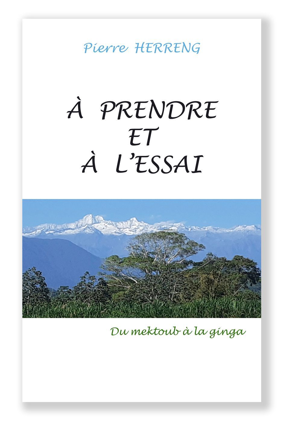 cliquez pour les détails couverture livre Pierre Herreng,