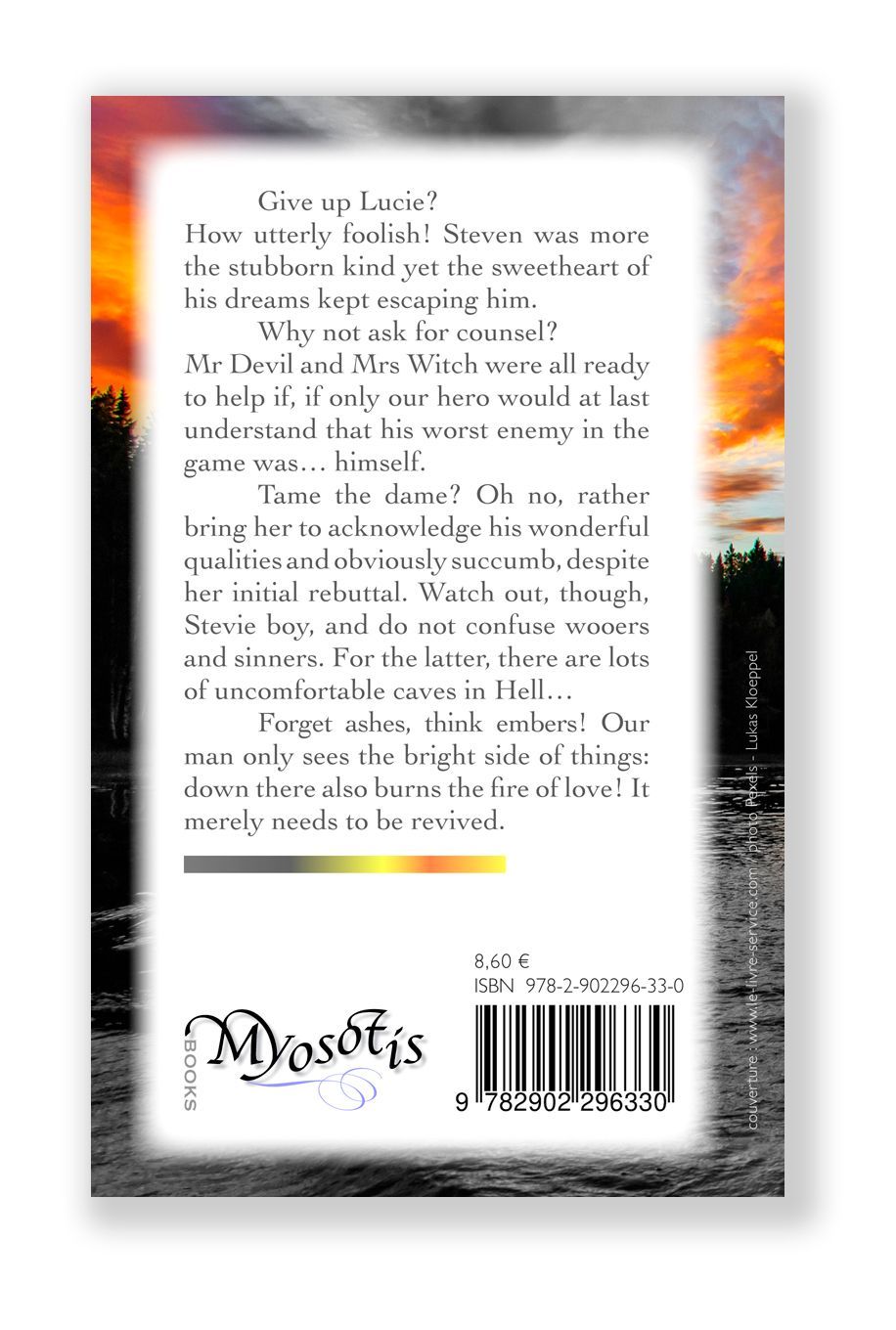 backcover of Frank Diallo's book