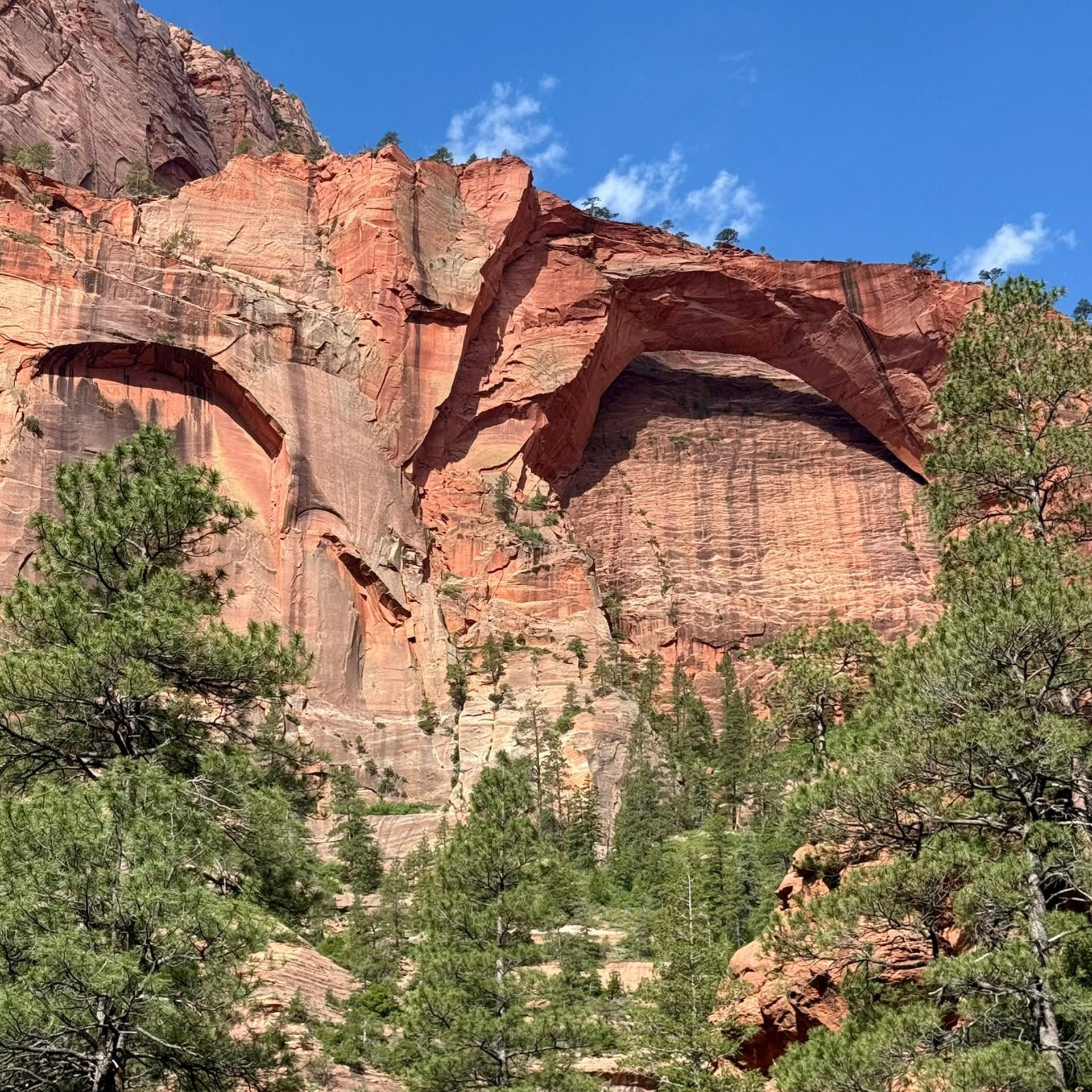 Kolob Arch Zion National Park Tours
