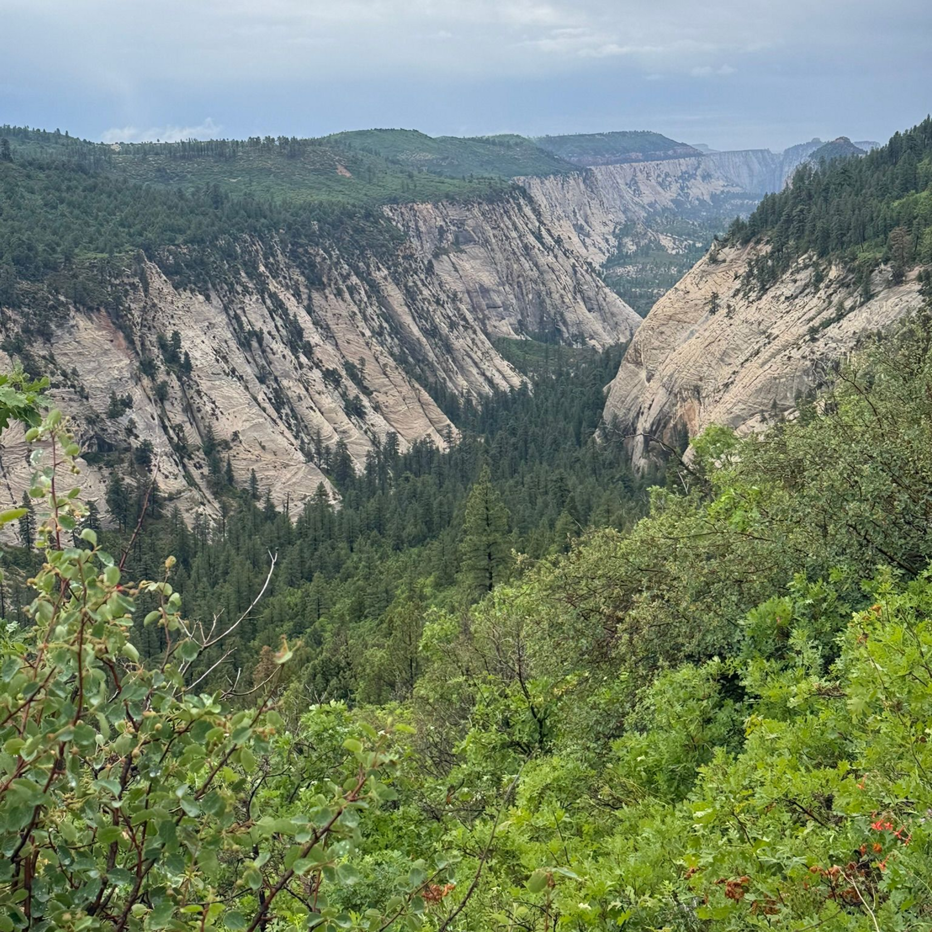 Kolob Canyon Zion National Park Tours