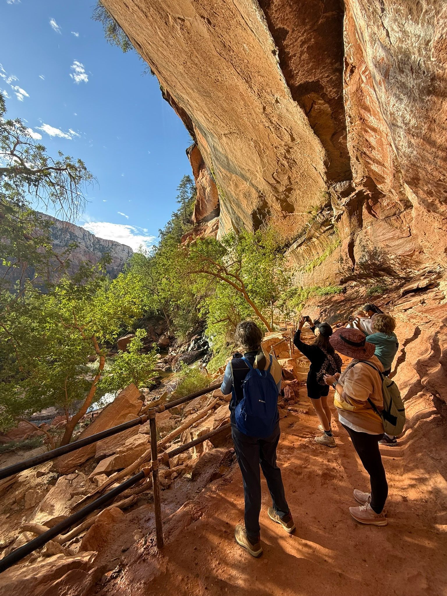 Half Day Hiking Zion National Park Tour