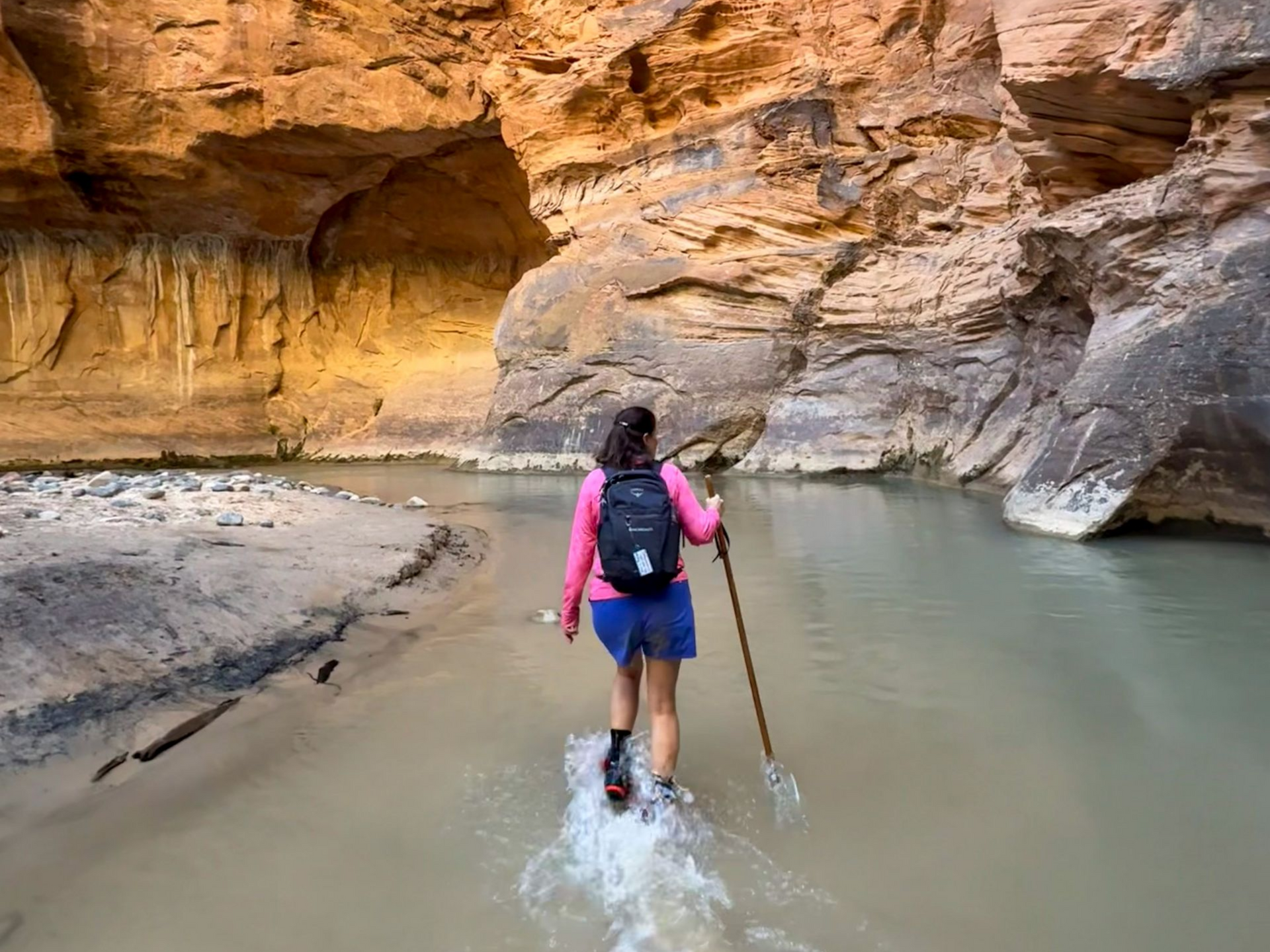 The Narrows Guided Hike Zion National Park