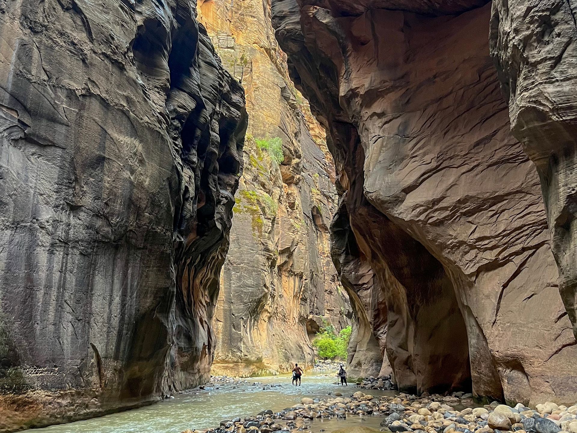 The Narrows Guided Hike, Zion National Park