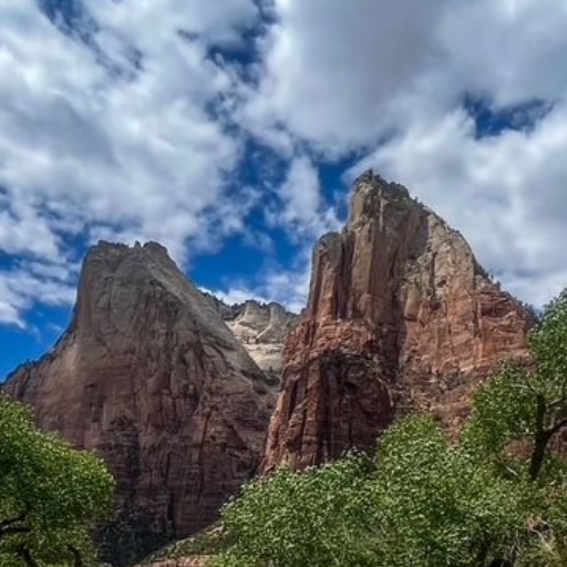 Zion National Park Tours