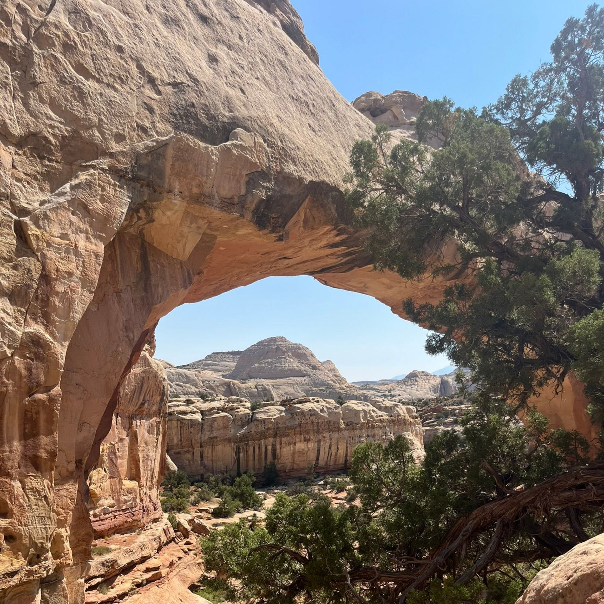 Hickman Bridge, Capitol Reef National Park