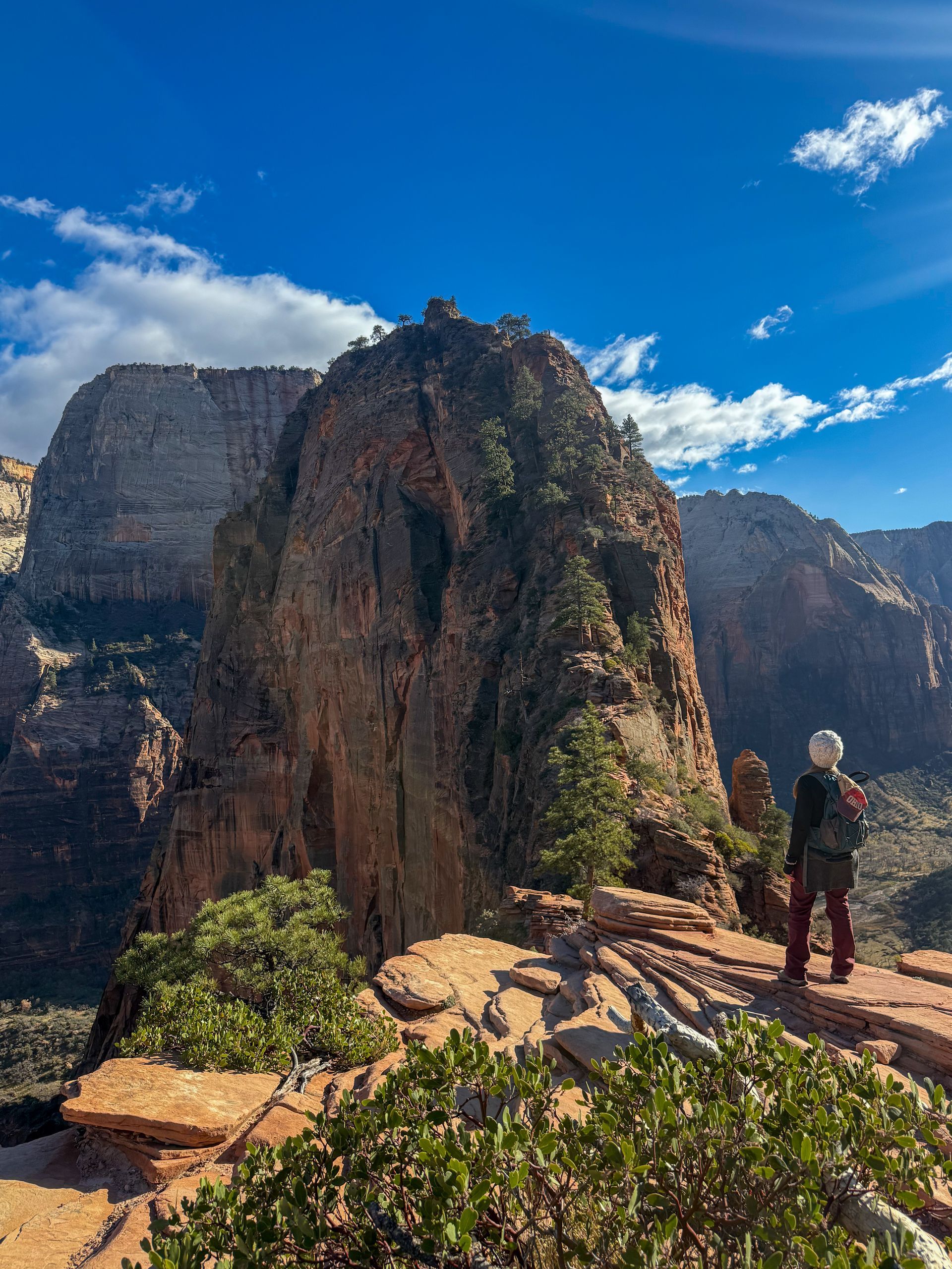 Angels Landing Tour Zion National Park