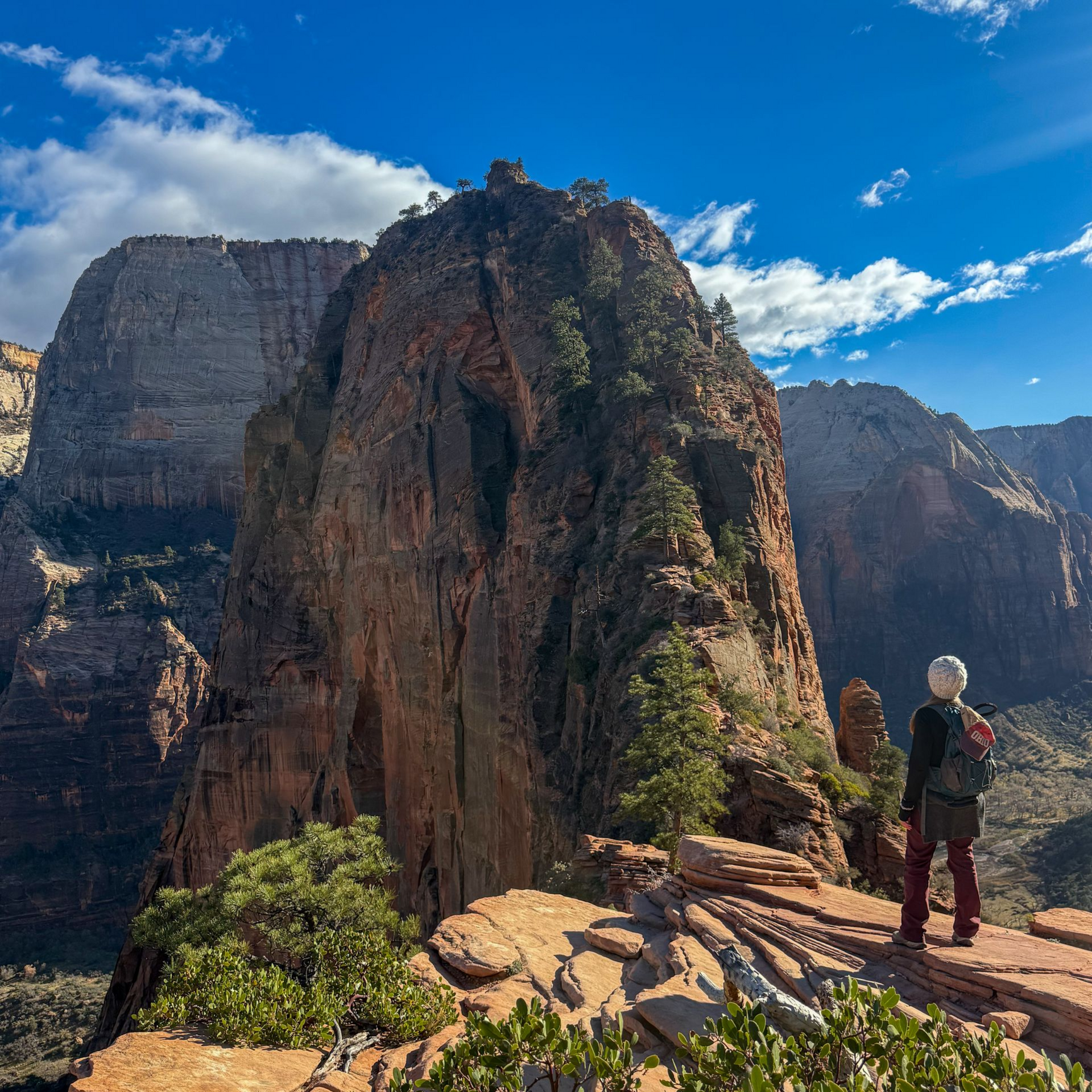 Angels Landing Zion National Park Tours