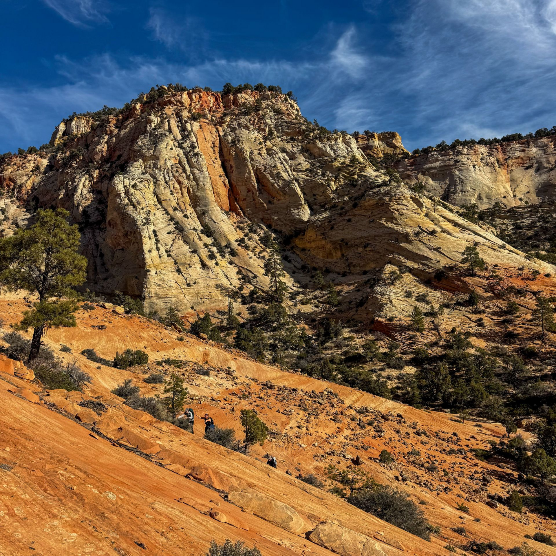East Zion National Park Guided Hikes